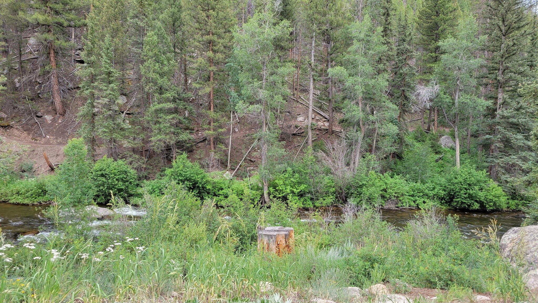 Granite Tent Campground - Gunnison Rd