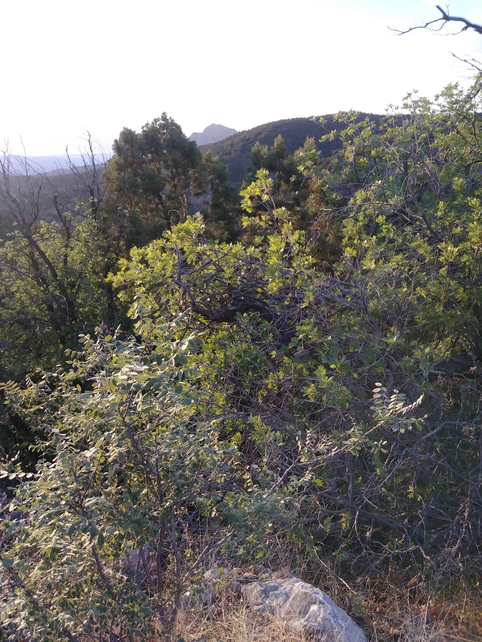 Granville Campground