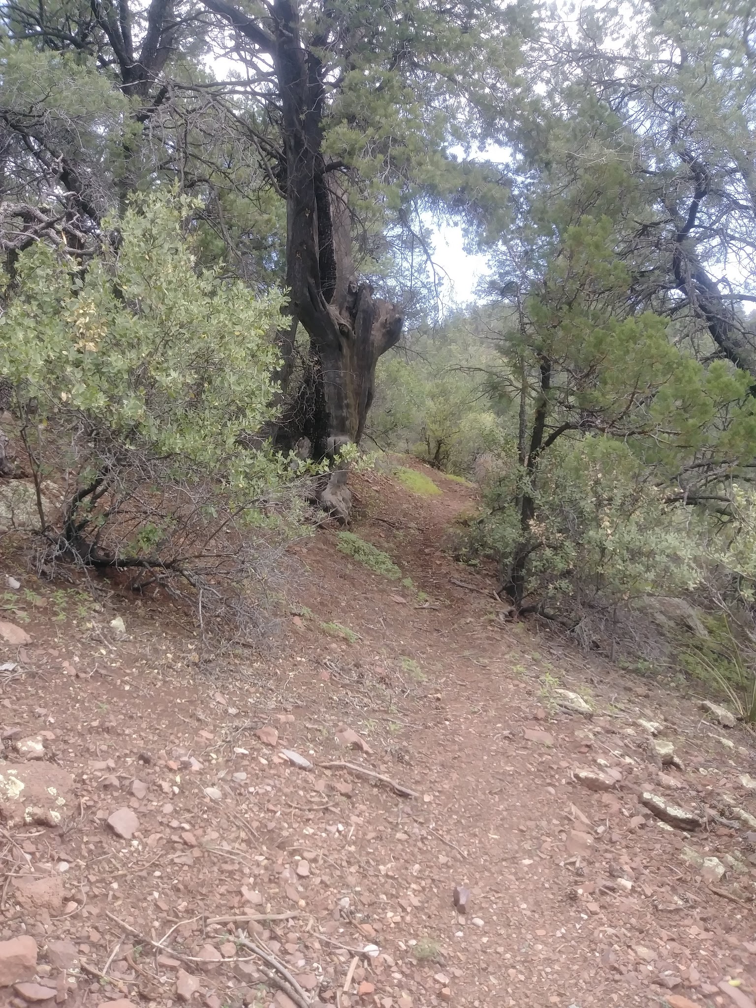 Granville Campground