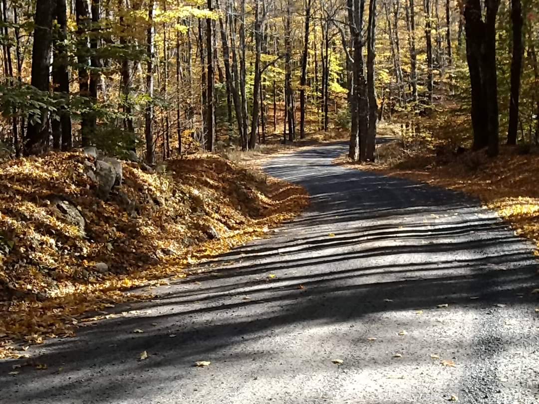 Granville State Forest