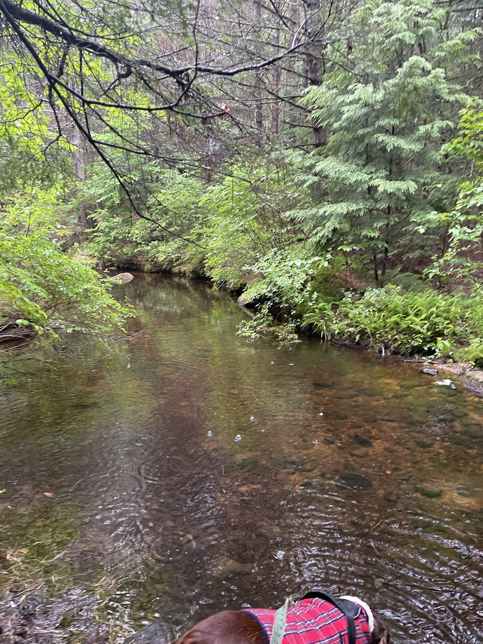 Granville State Forest