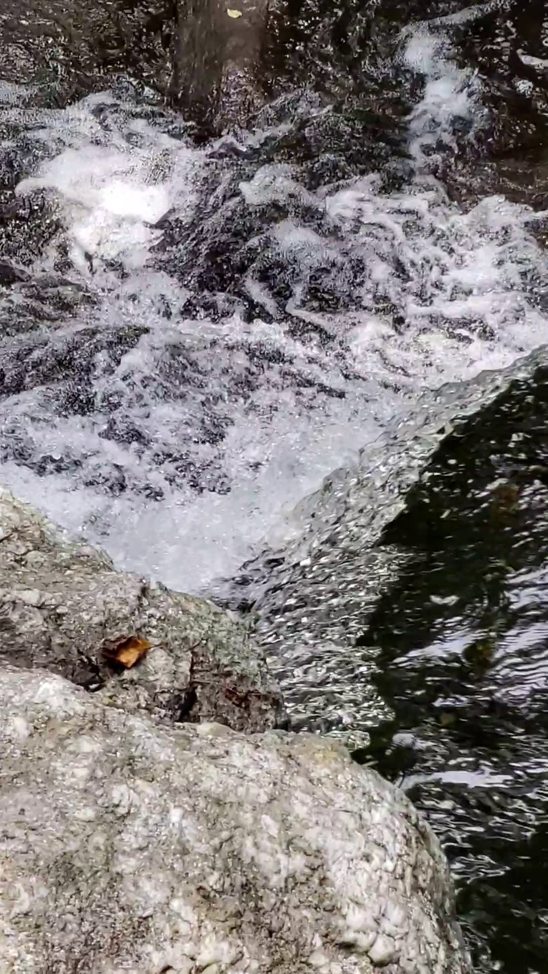 Granville State Forest