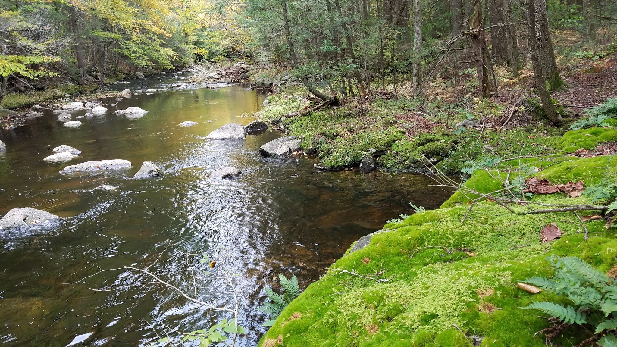 Granville State Forest