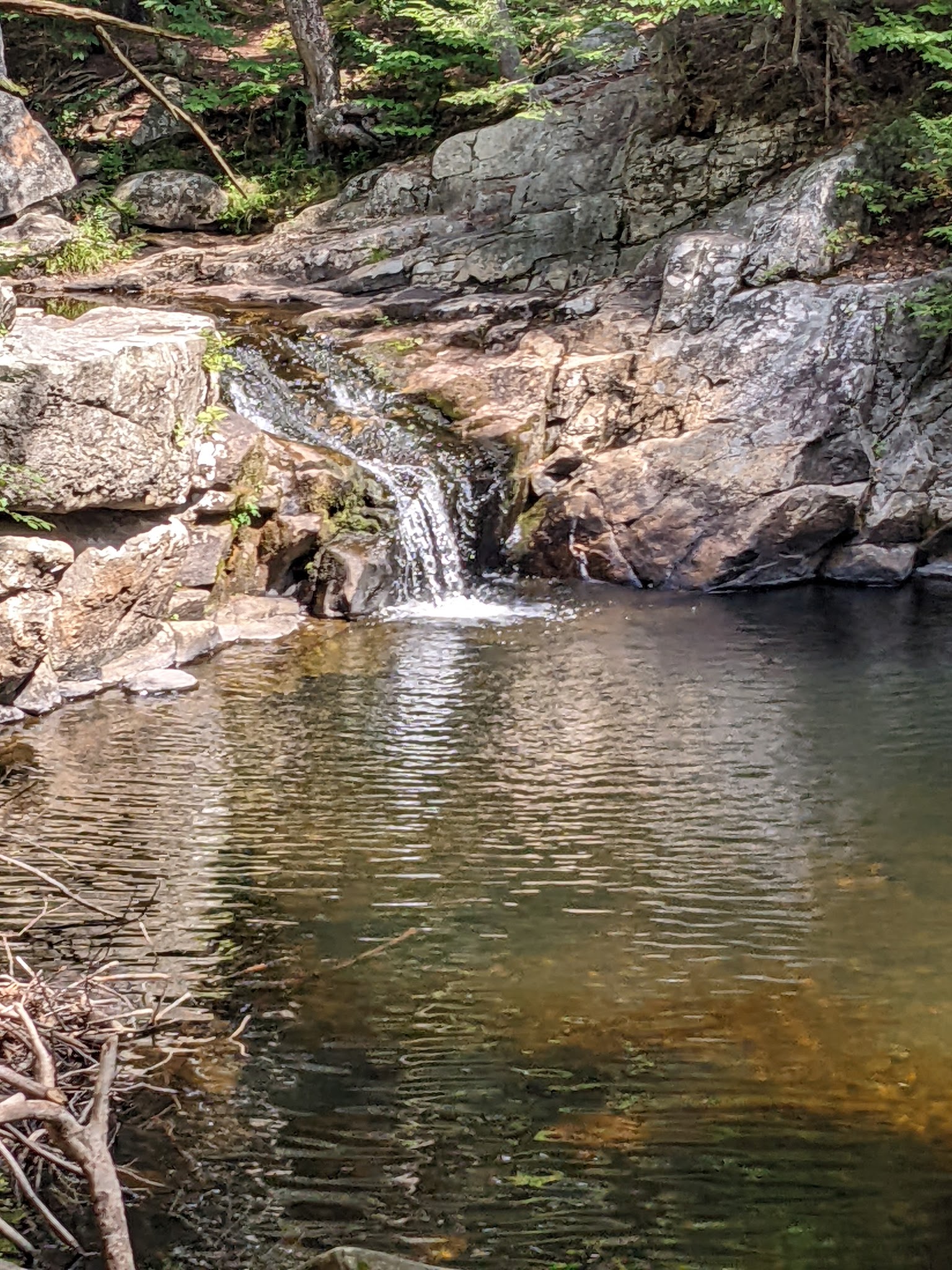 Granville State Forest