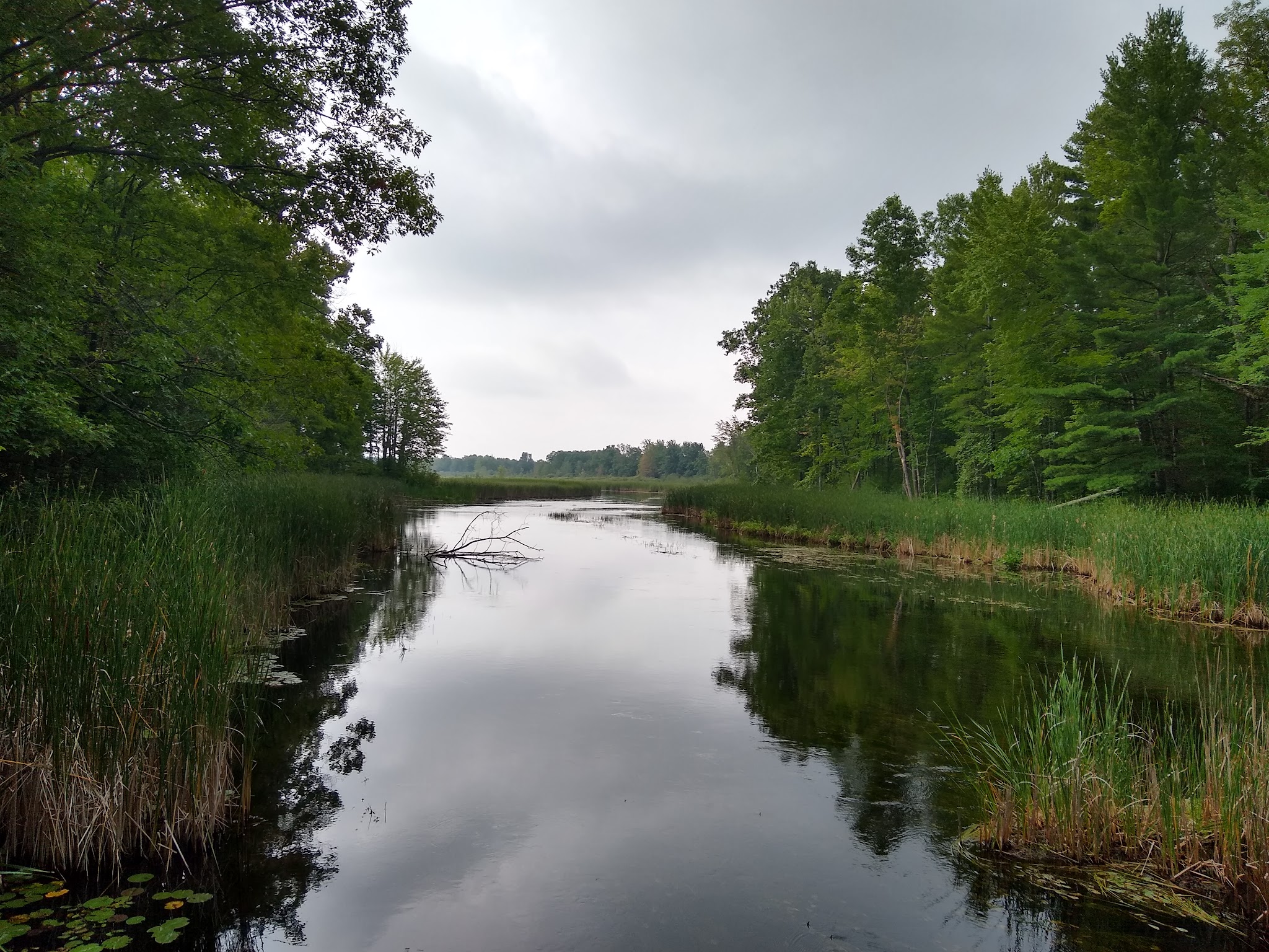 Grass Lake State Forest Campground