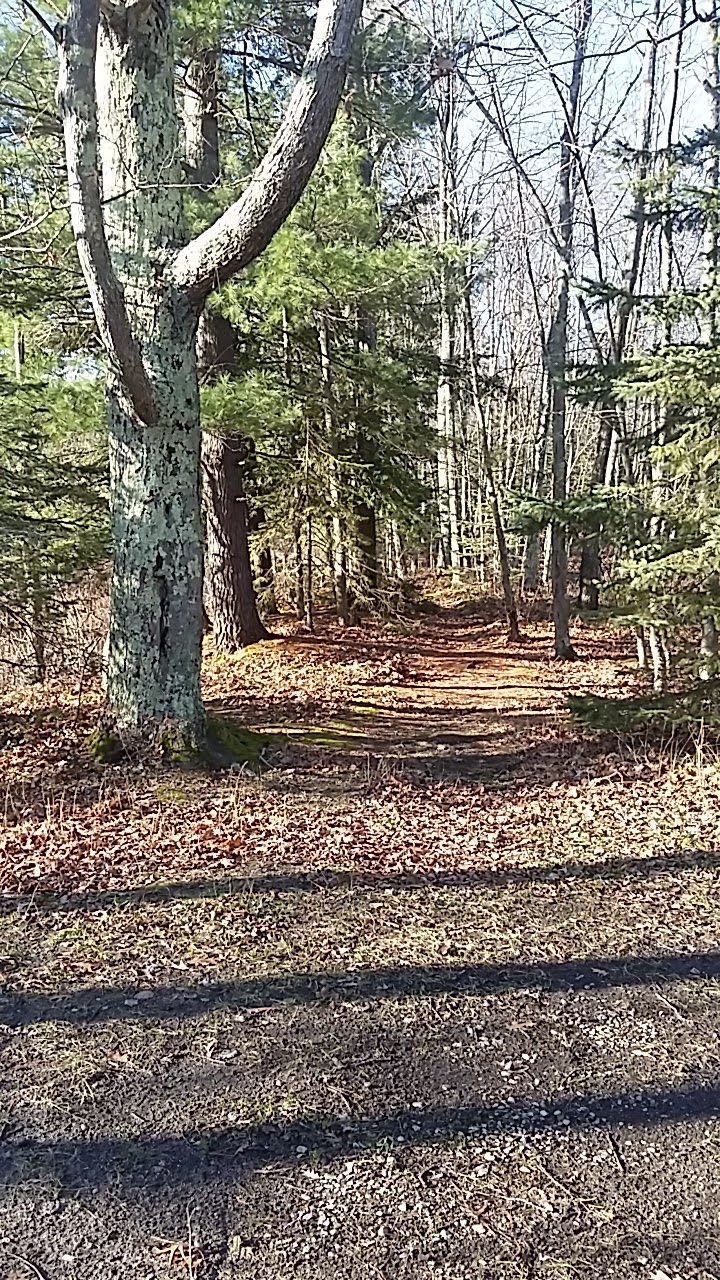 Grass Lake State Forest Campground