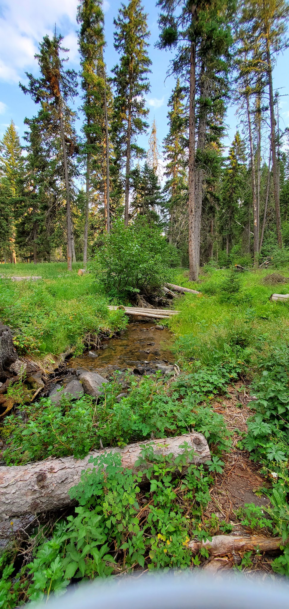 Grasshopper Campground