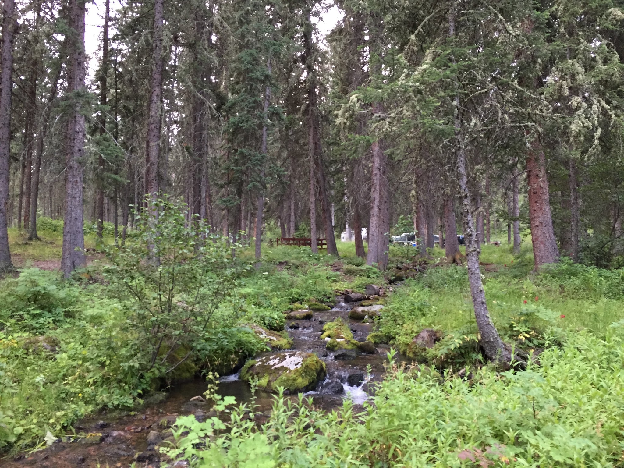 Grasshopper Campground
