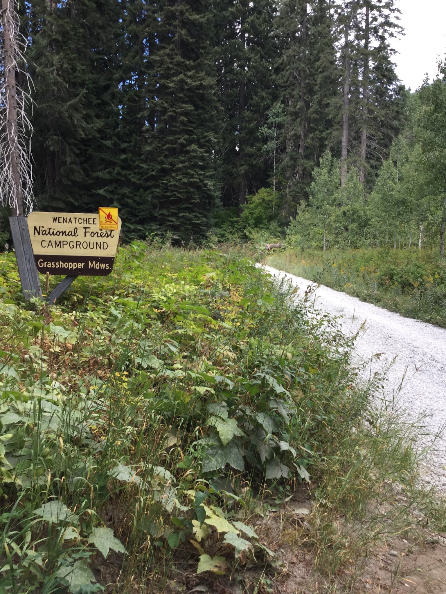 Grasshopper Meadows Campground