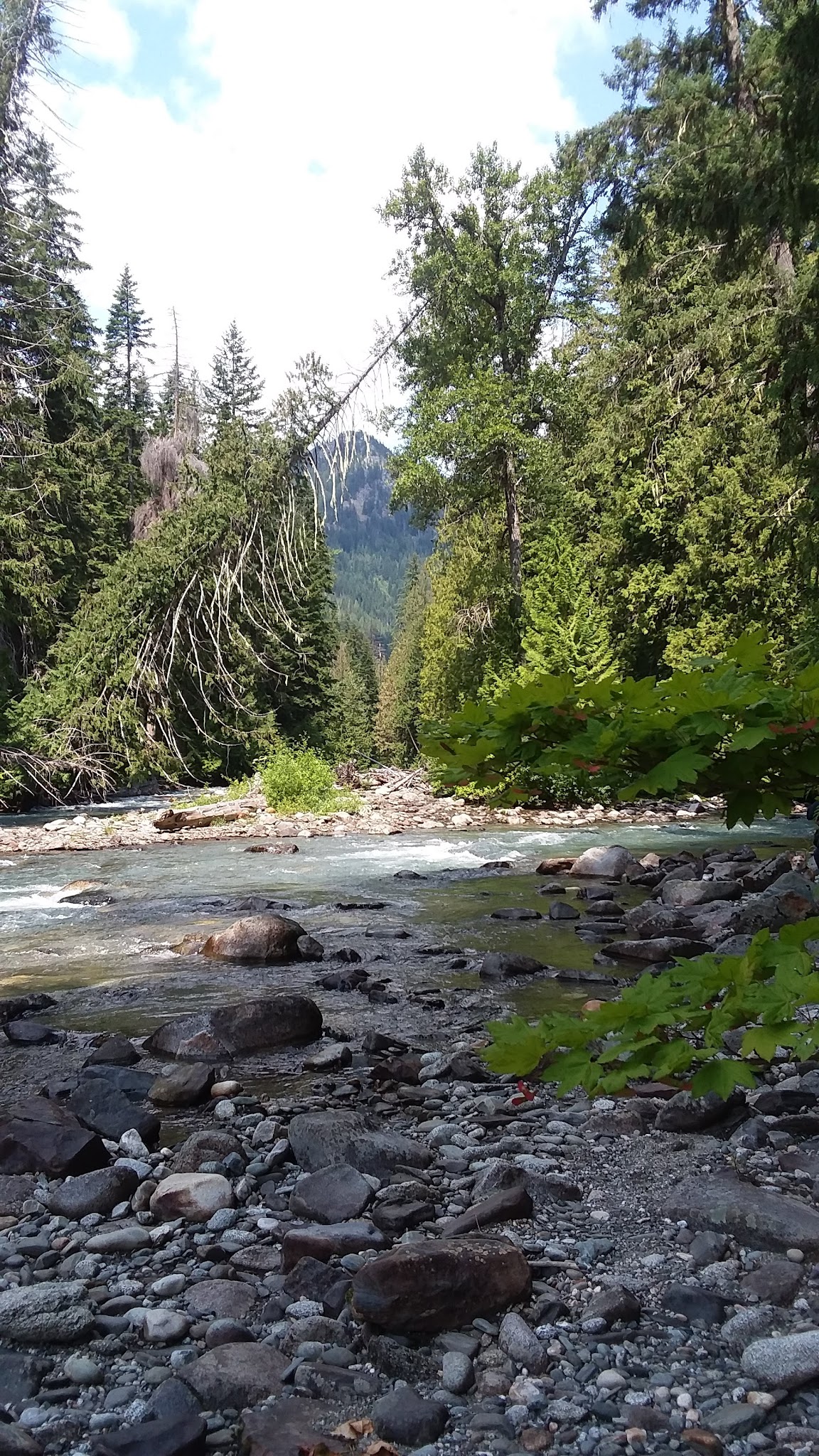 Grasshopper Meadows Campground