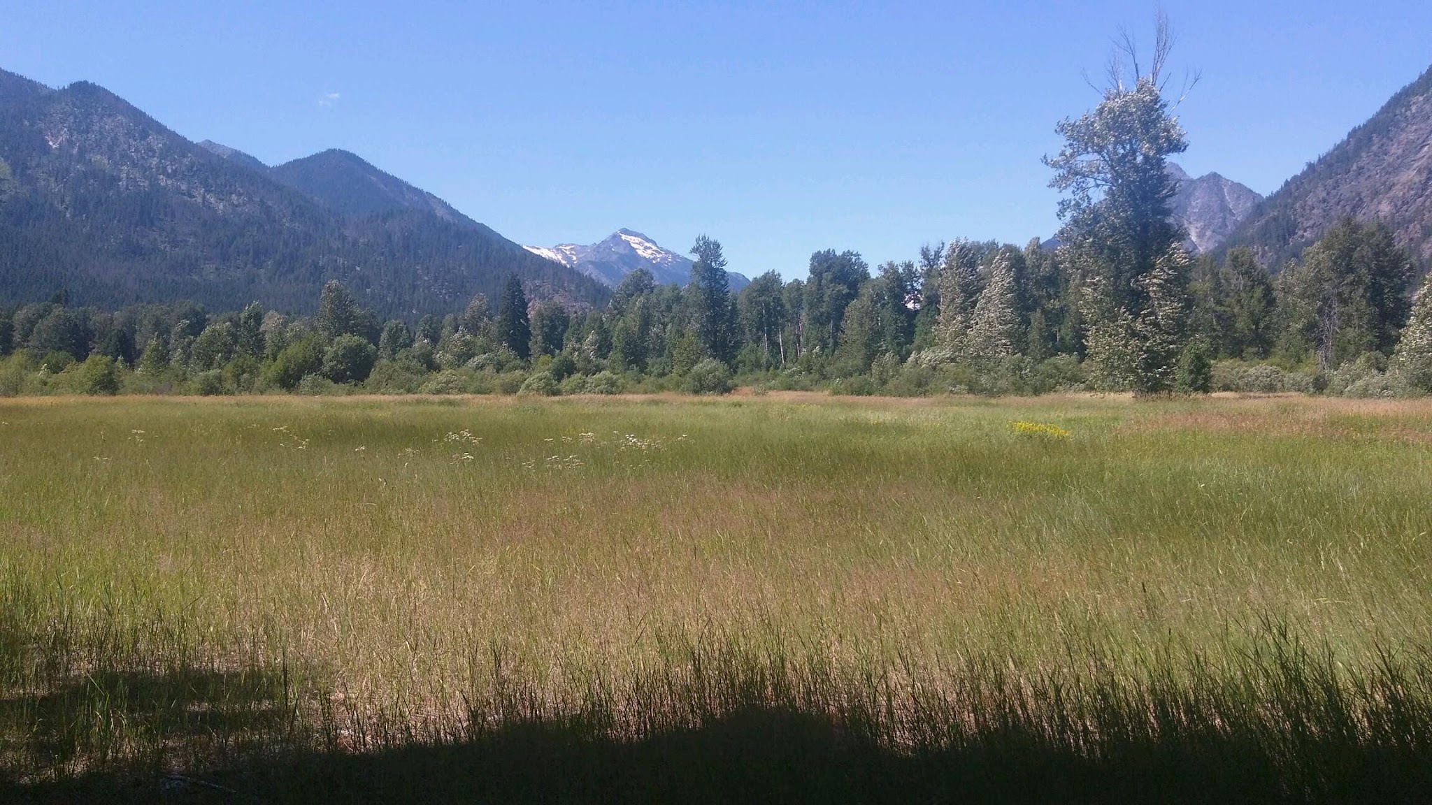 Grasshopper Meadows Campground