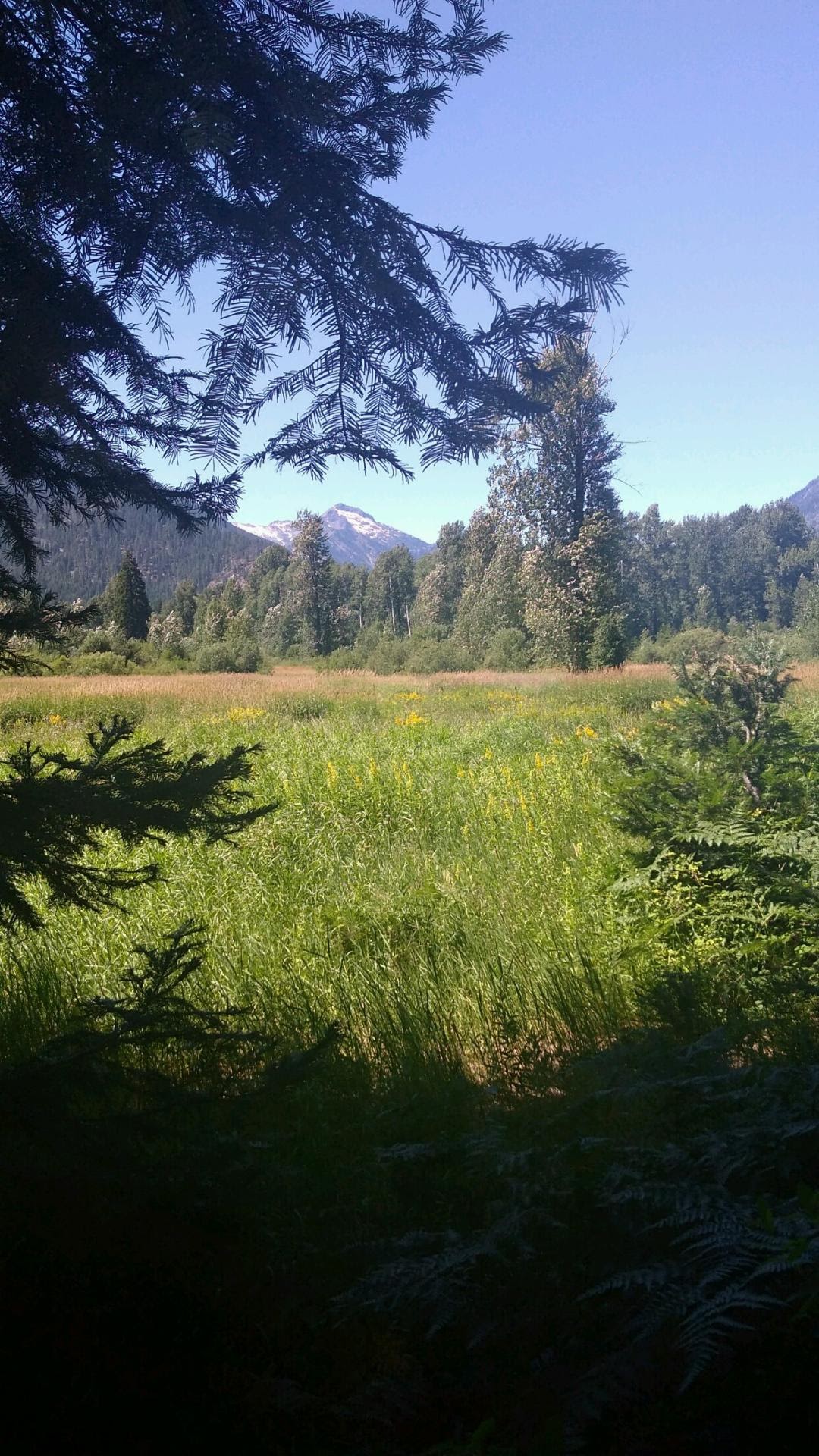 Grasshopper Meadows Campground