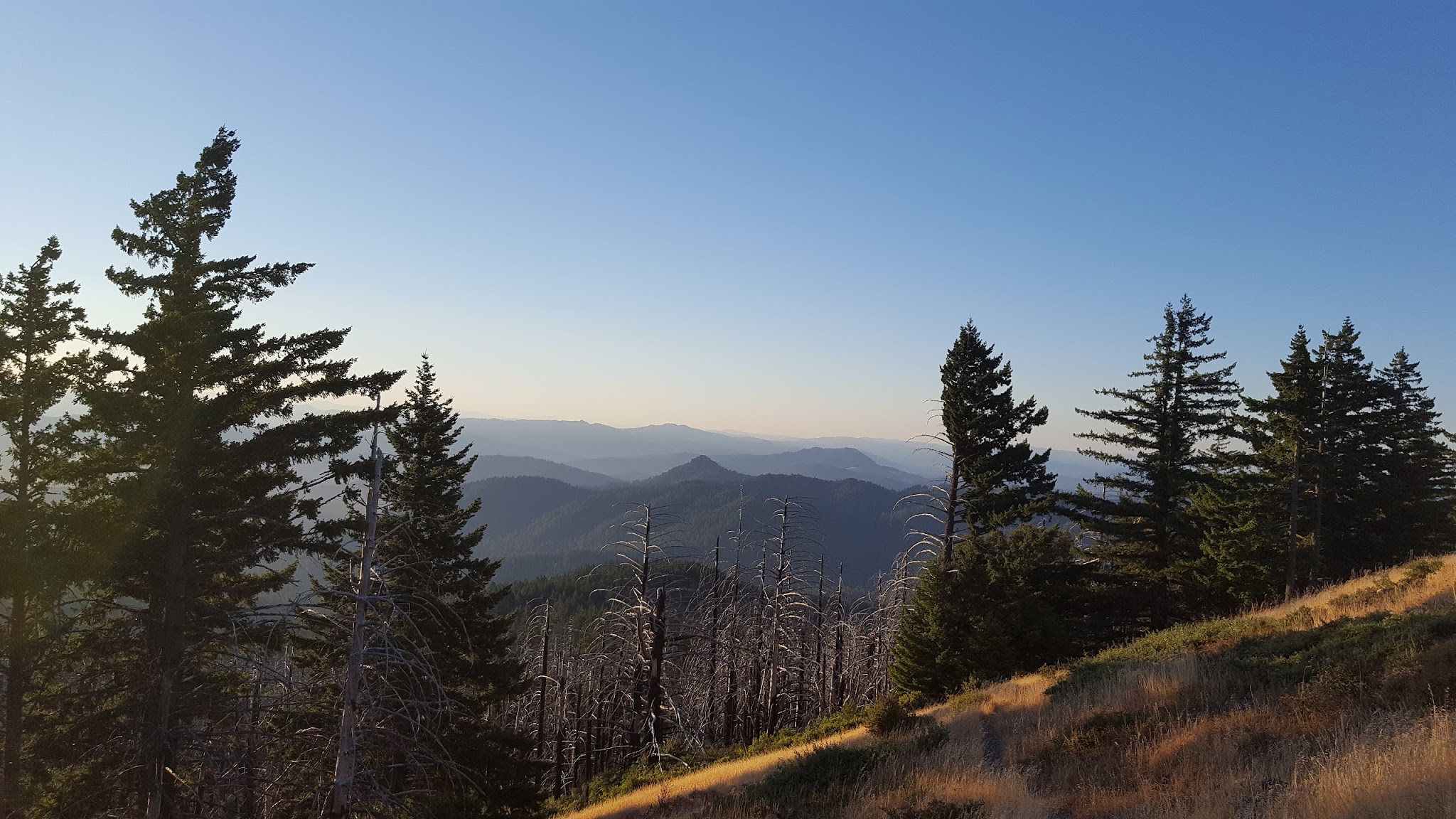 Trail Grasshopper Campground