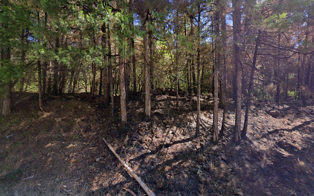 Grassy Flat Campground