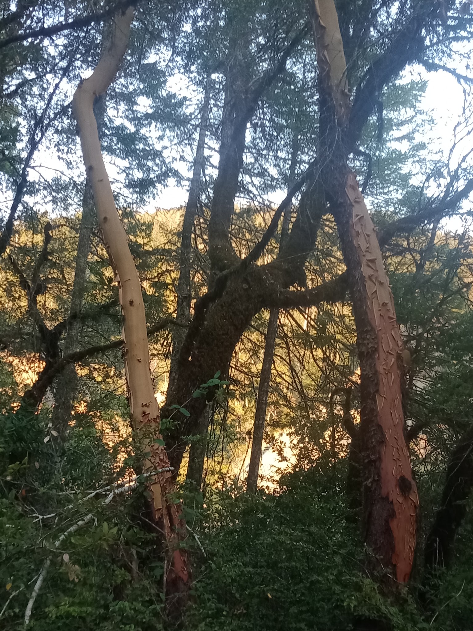 Grassy Flat Campground