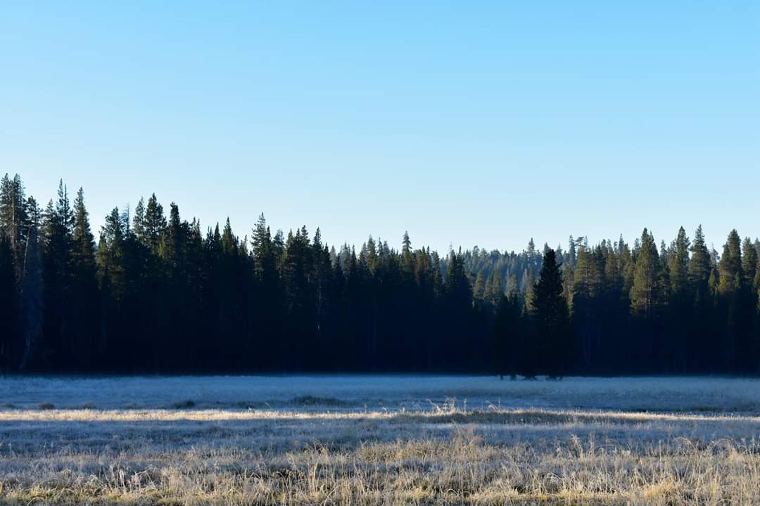 Horse Camp Campground