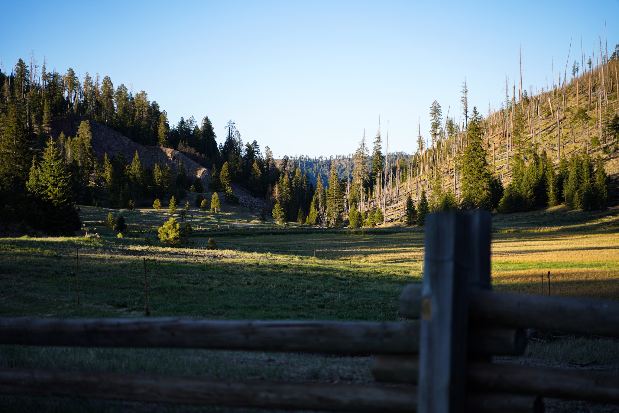 Kp Cienega Campground