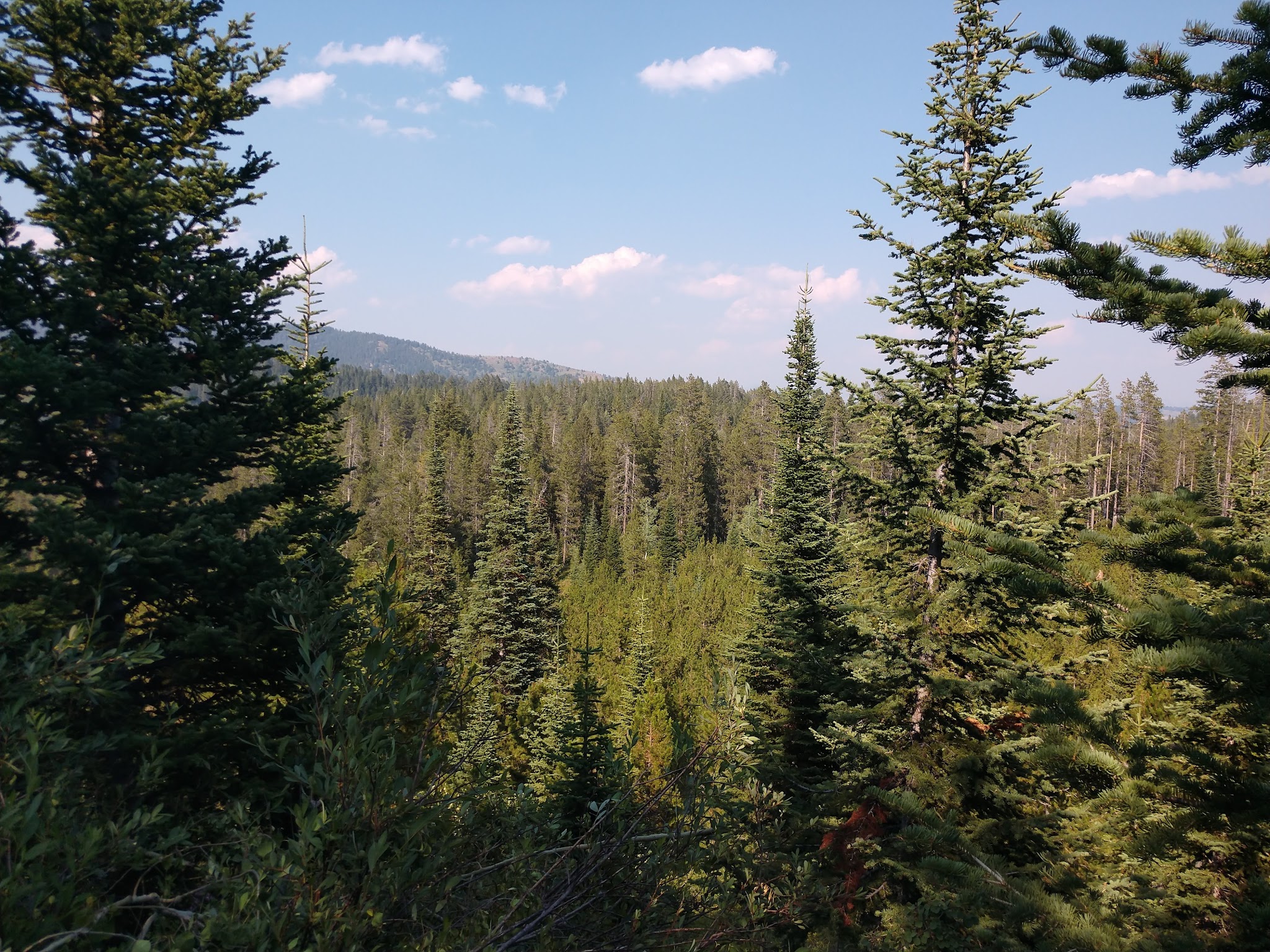 Gravel Creek Campground