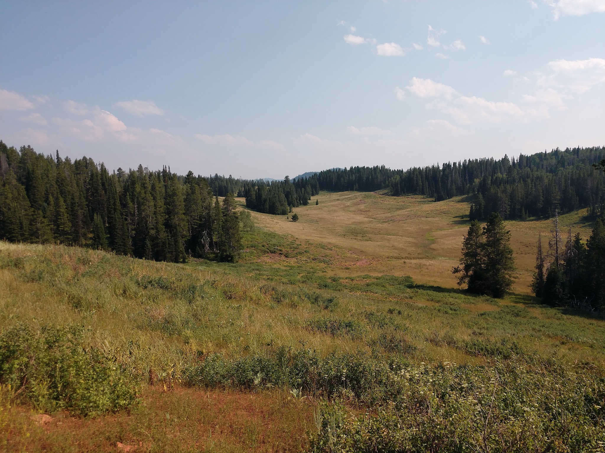 Gravel Creek Campground