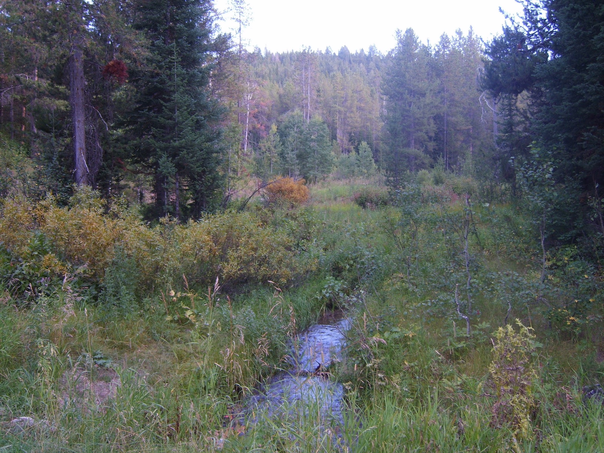 Gravel Creek Campground