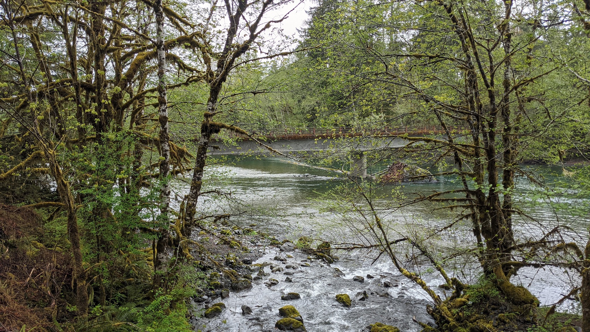 Graves Creek Campground