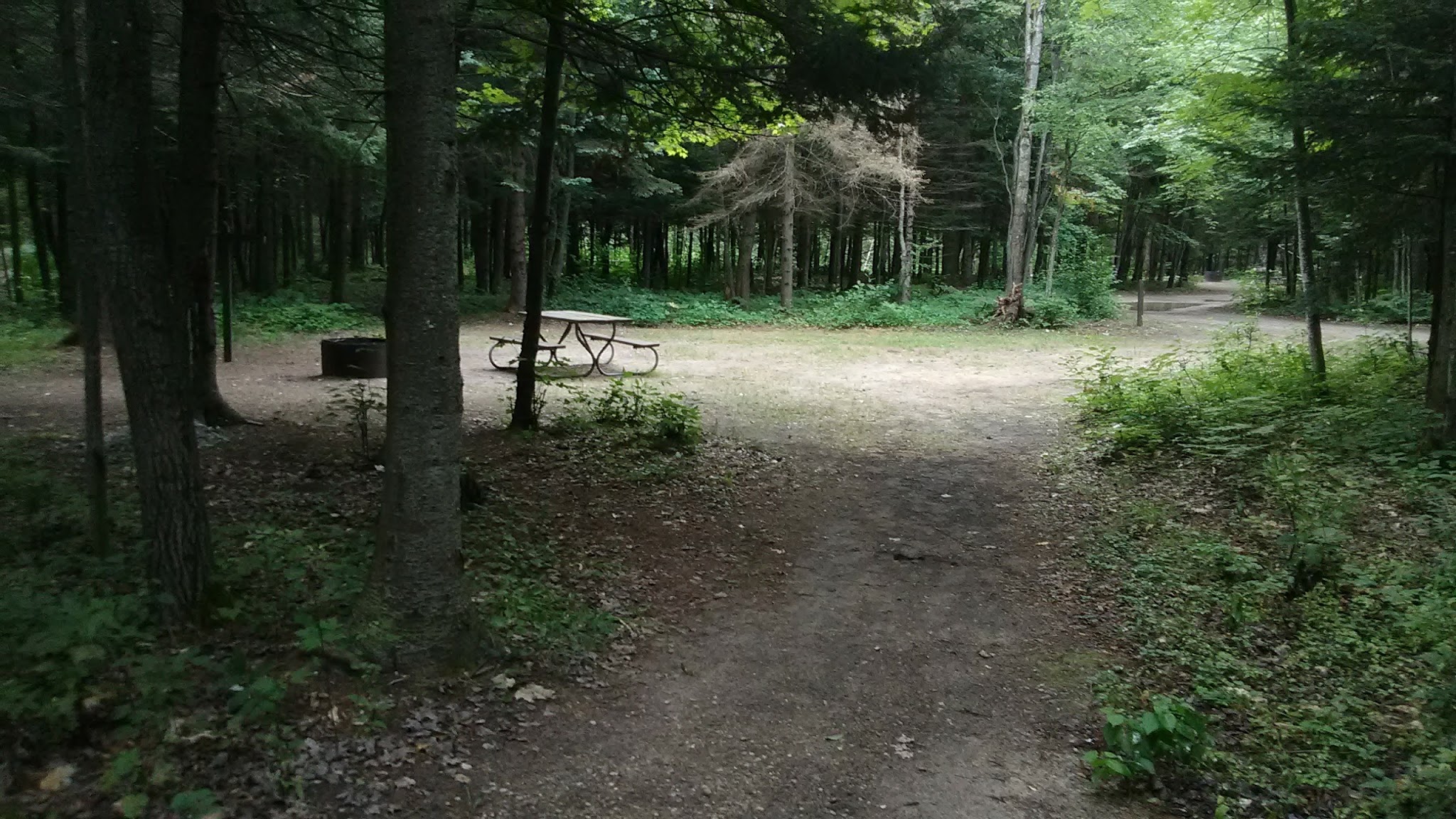 Graves Crossing State Forest Campground
