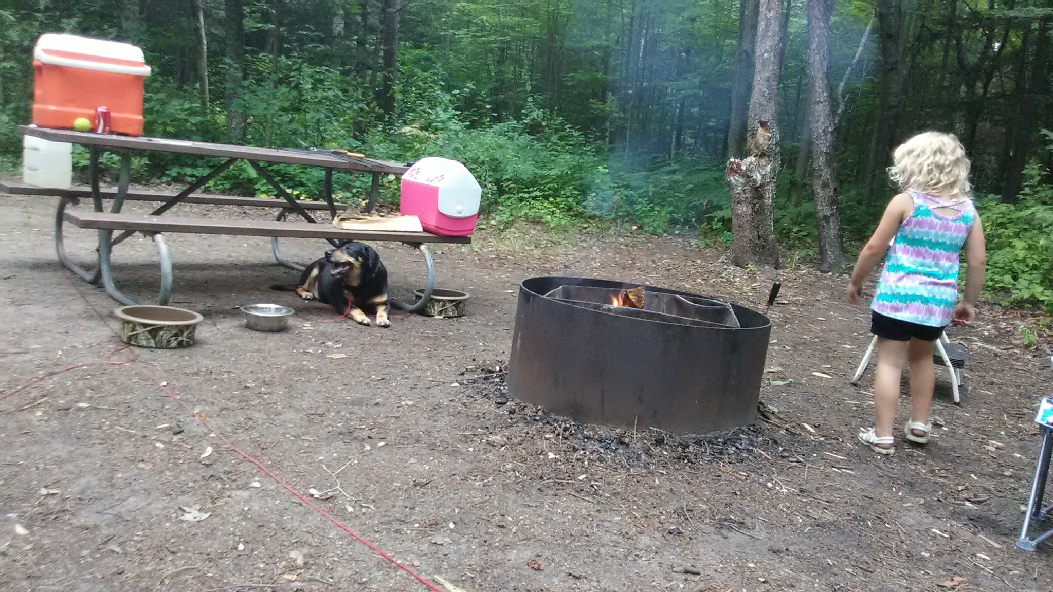 Graves Crossing State Forest Campground