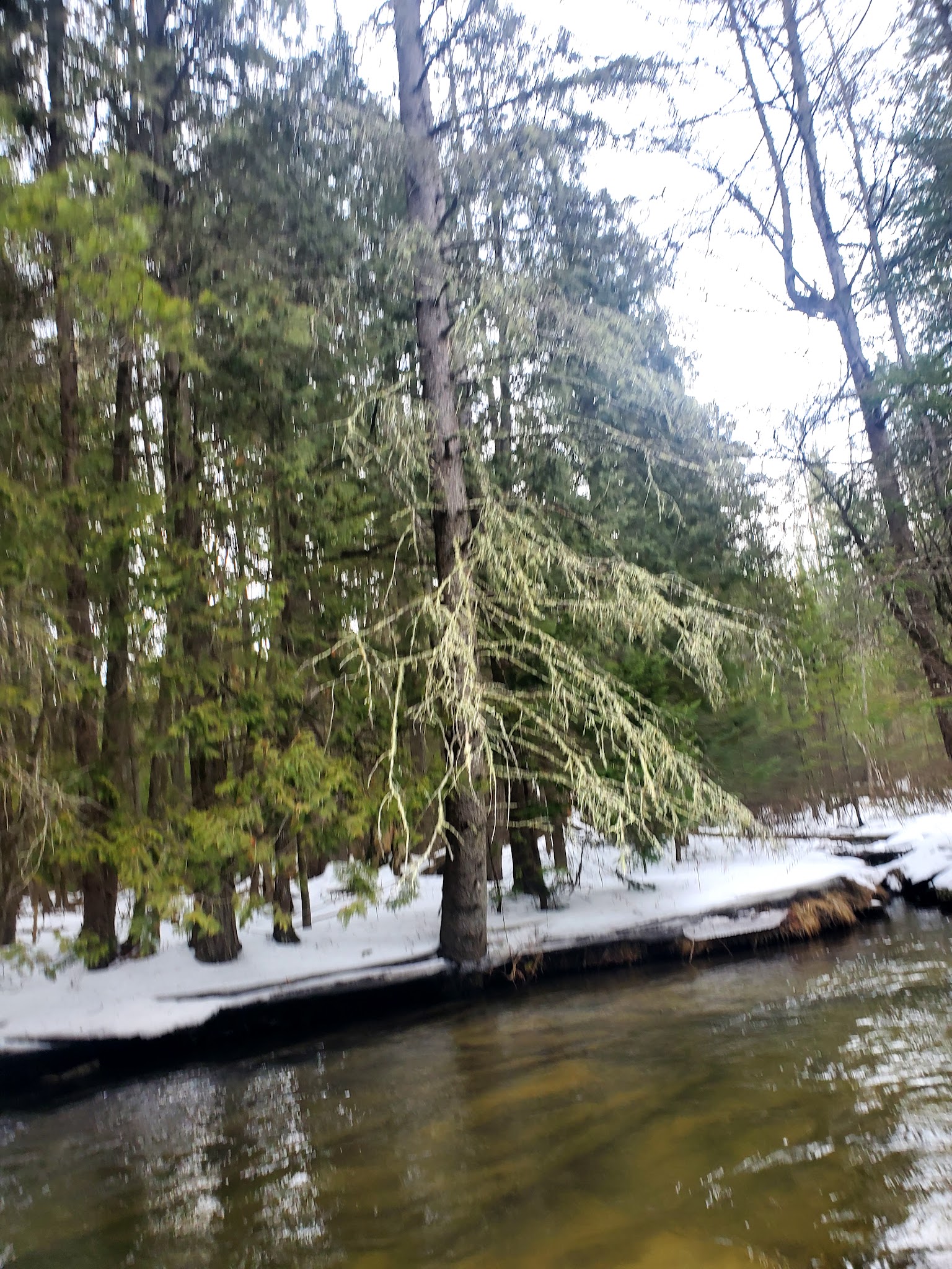 Graves Crossing State Forest Campground