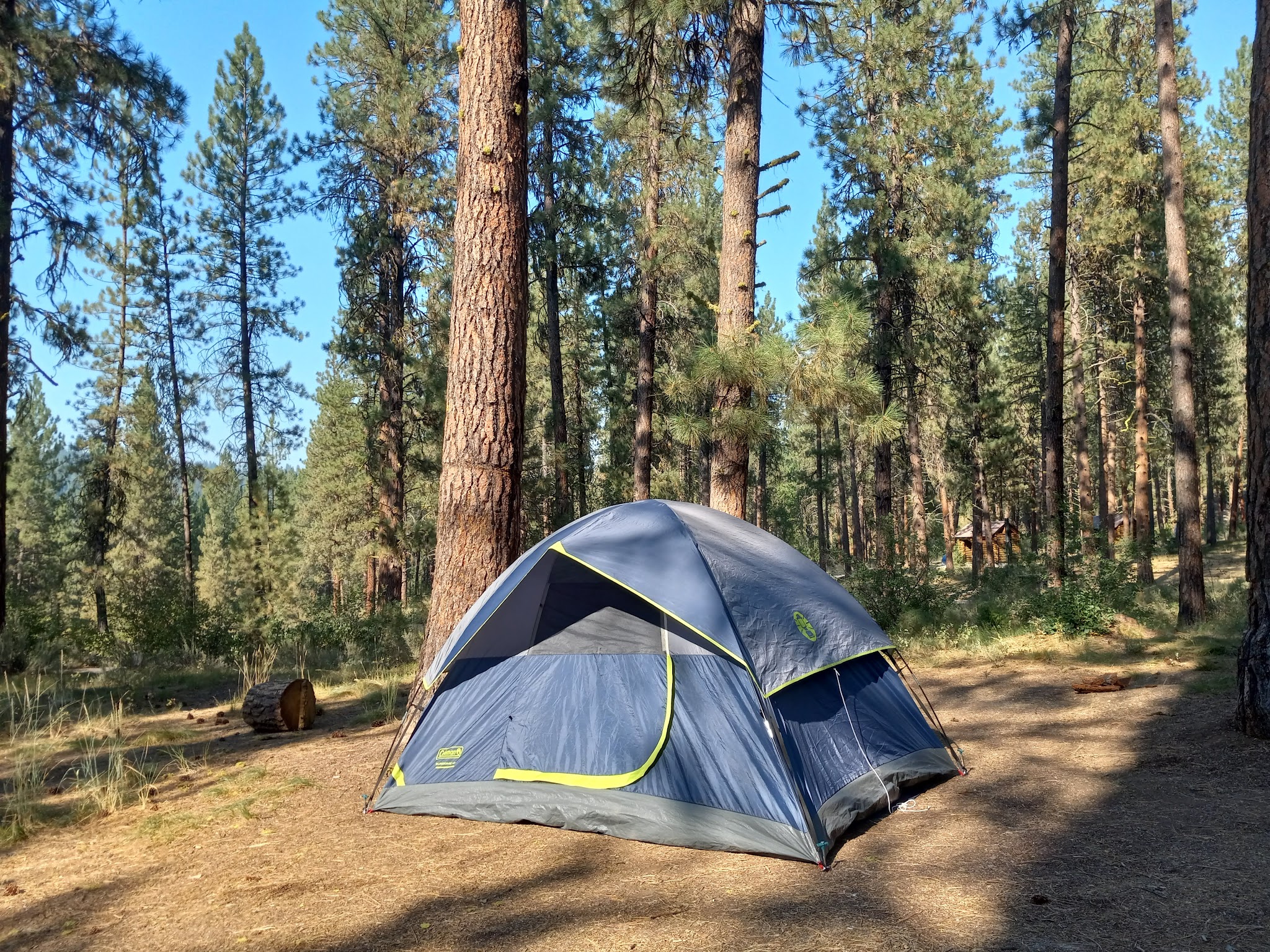 Grayback Campground And Group Sites - Reserve
