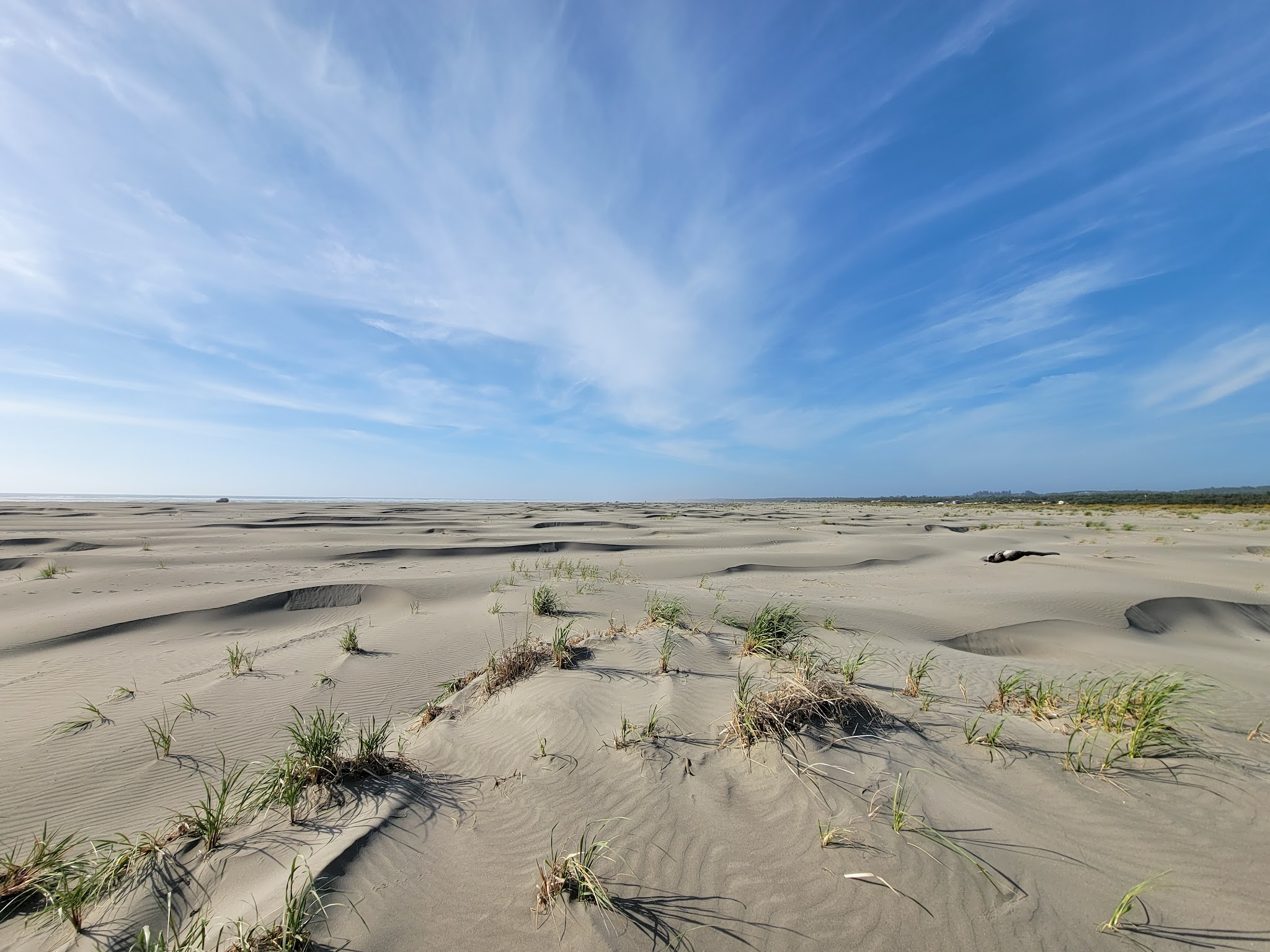 Grayland Beach State Park