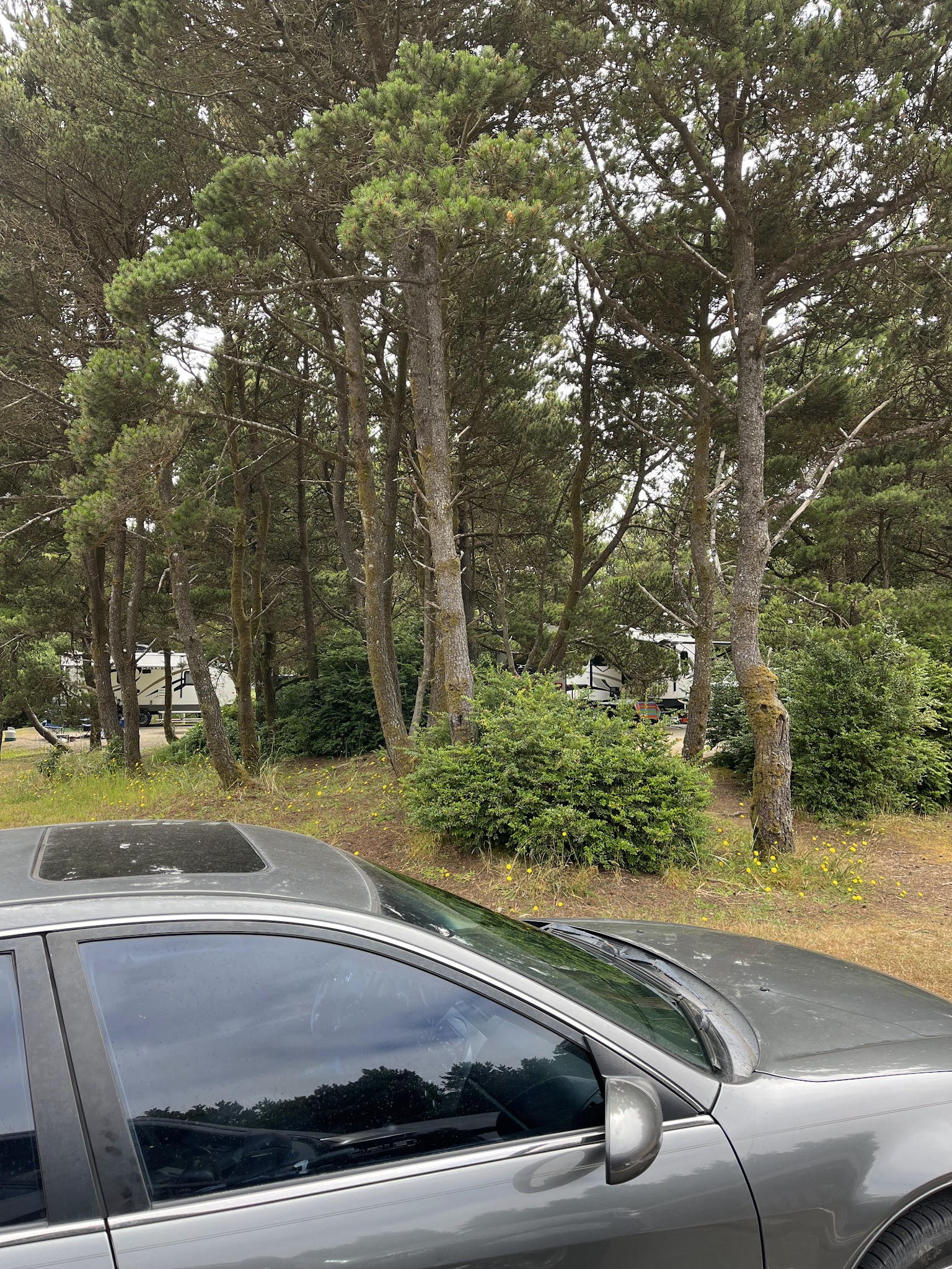 Grayland Beach State Park