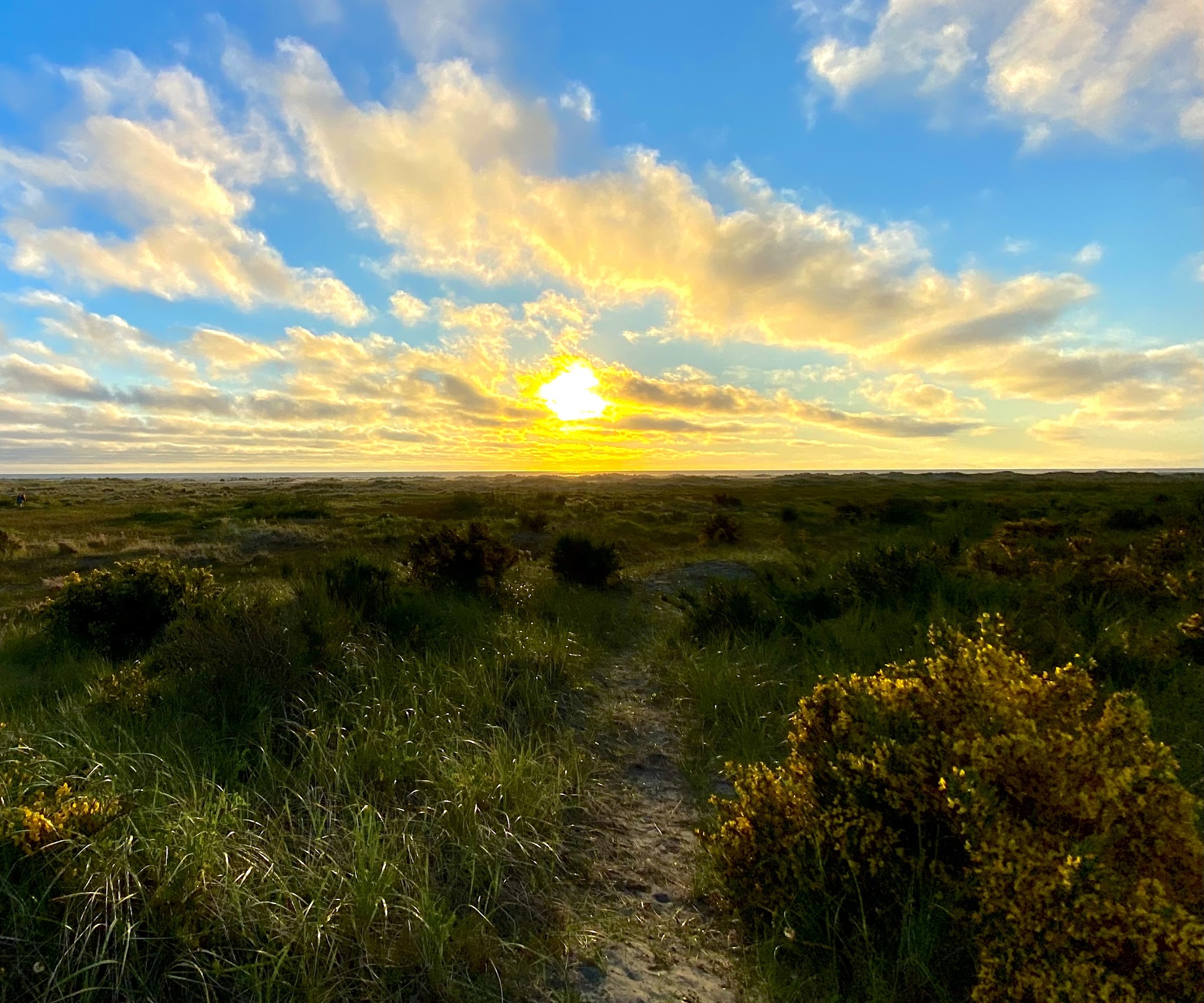 Grayland Beach State Park