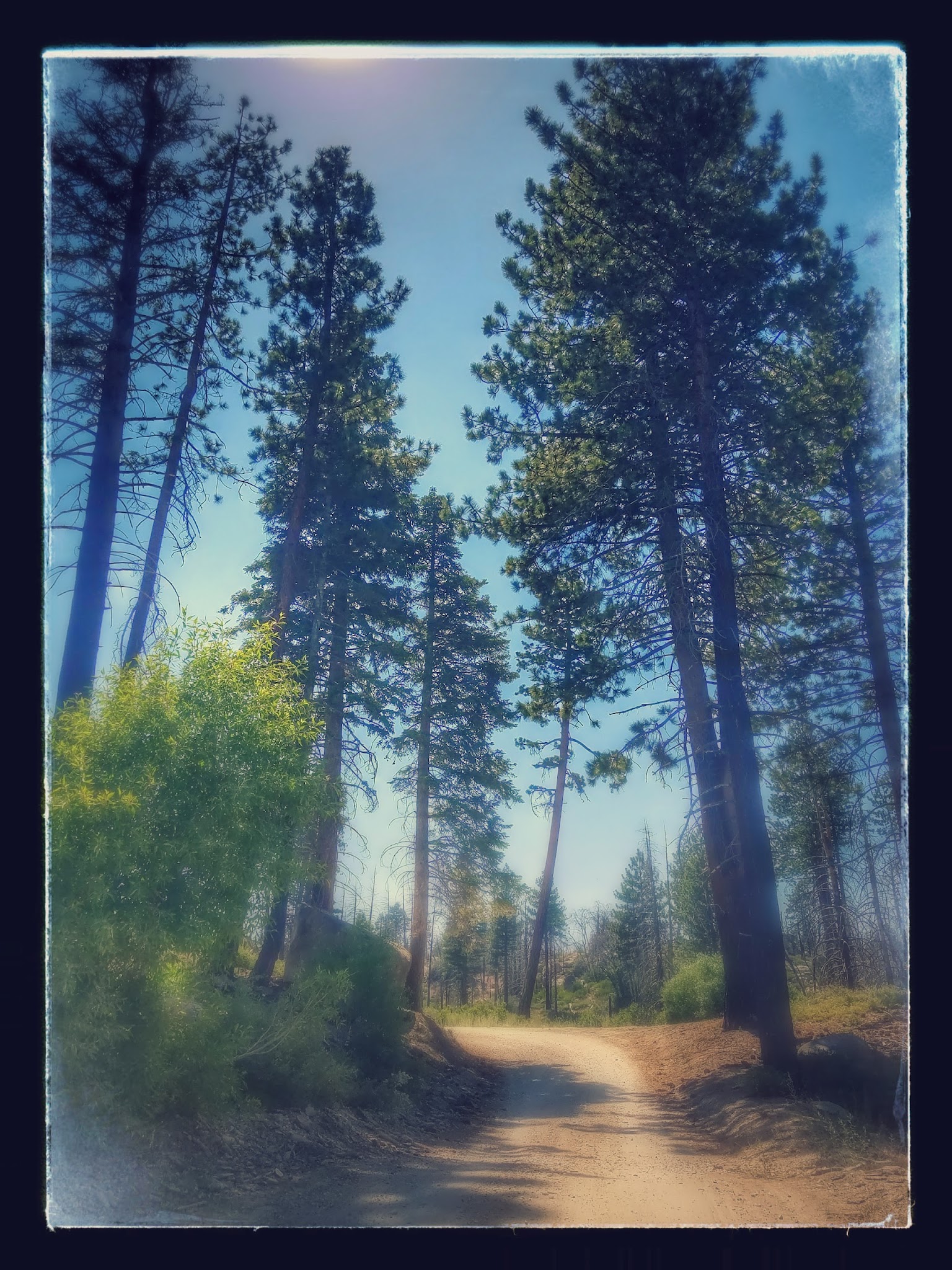 Grays Peak Group Camp