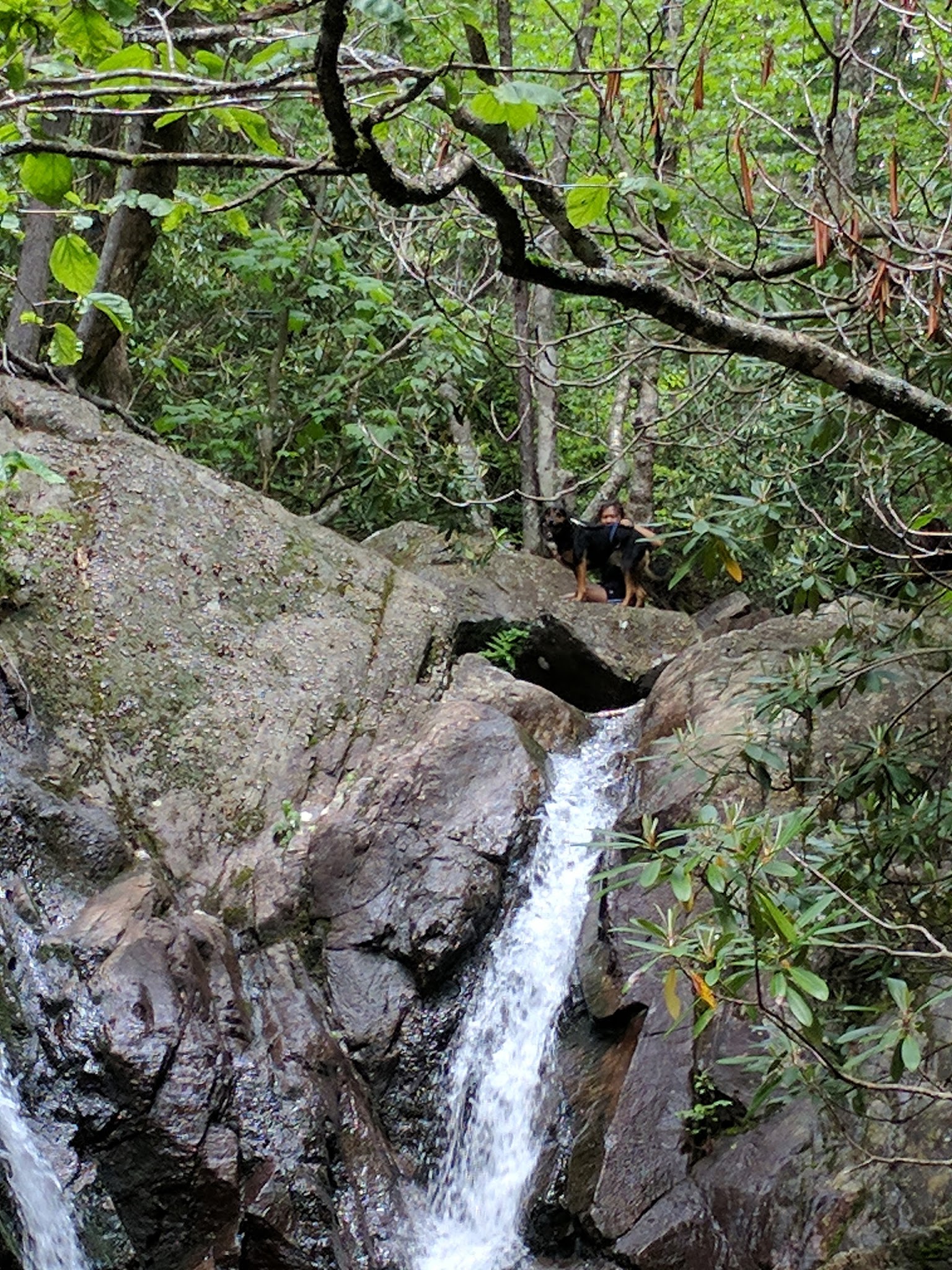 Backpack Parking Campground