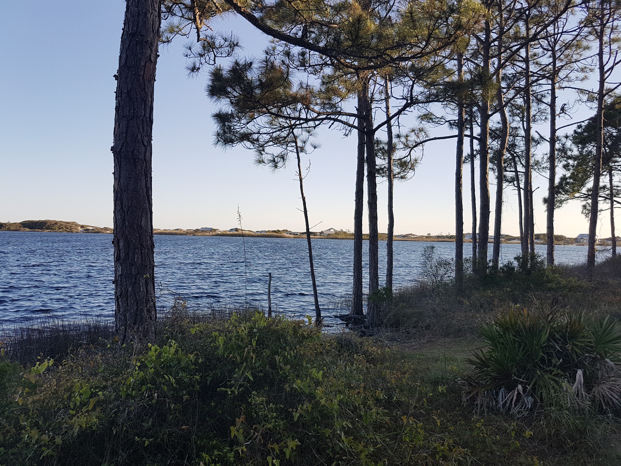 Grayton Beach State Park Campground