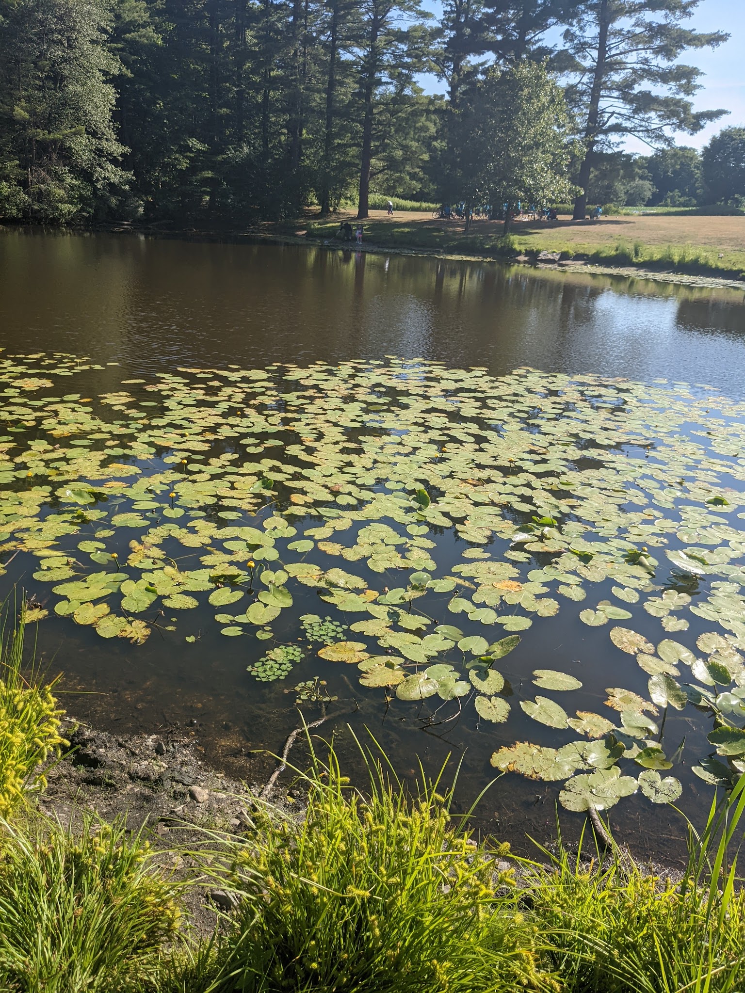 Great Brook Farm State Park
