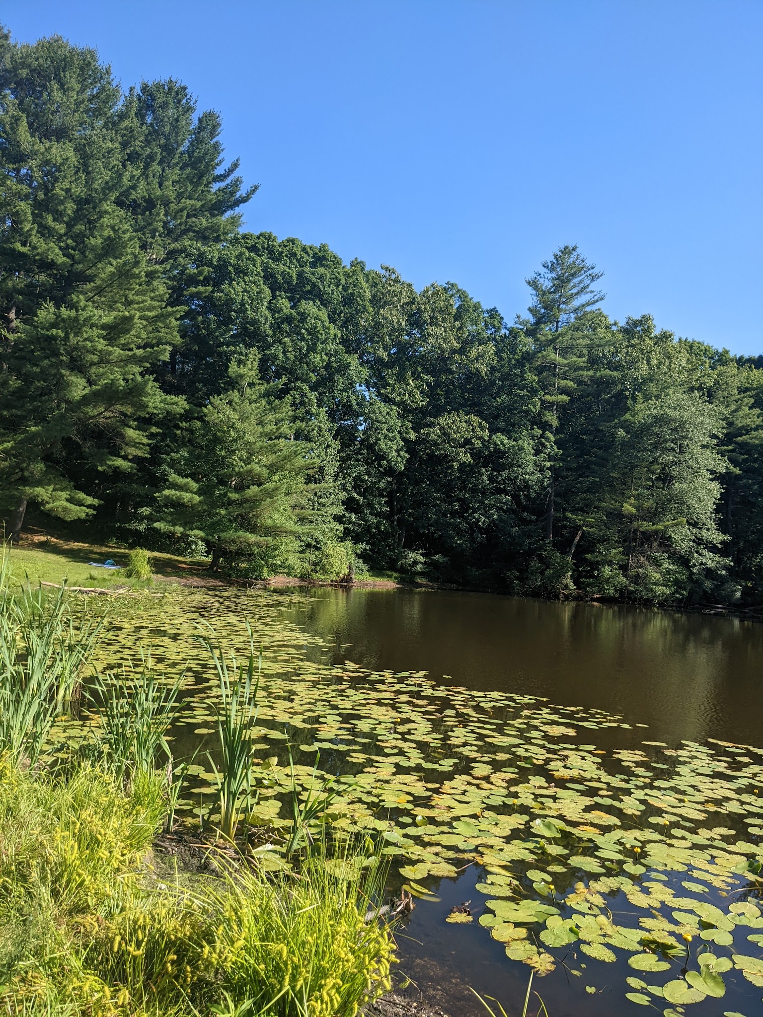 Great Brook Farm State Park