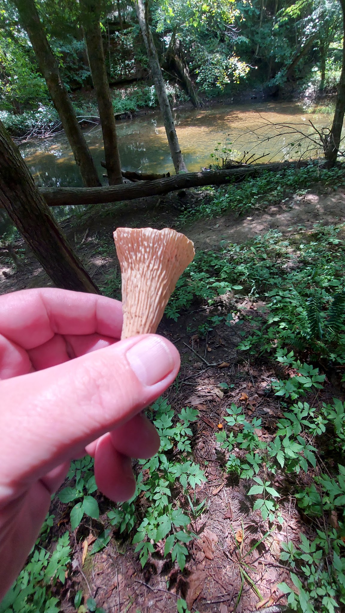 Great Meadows Campground