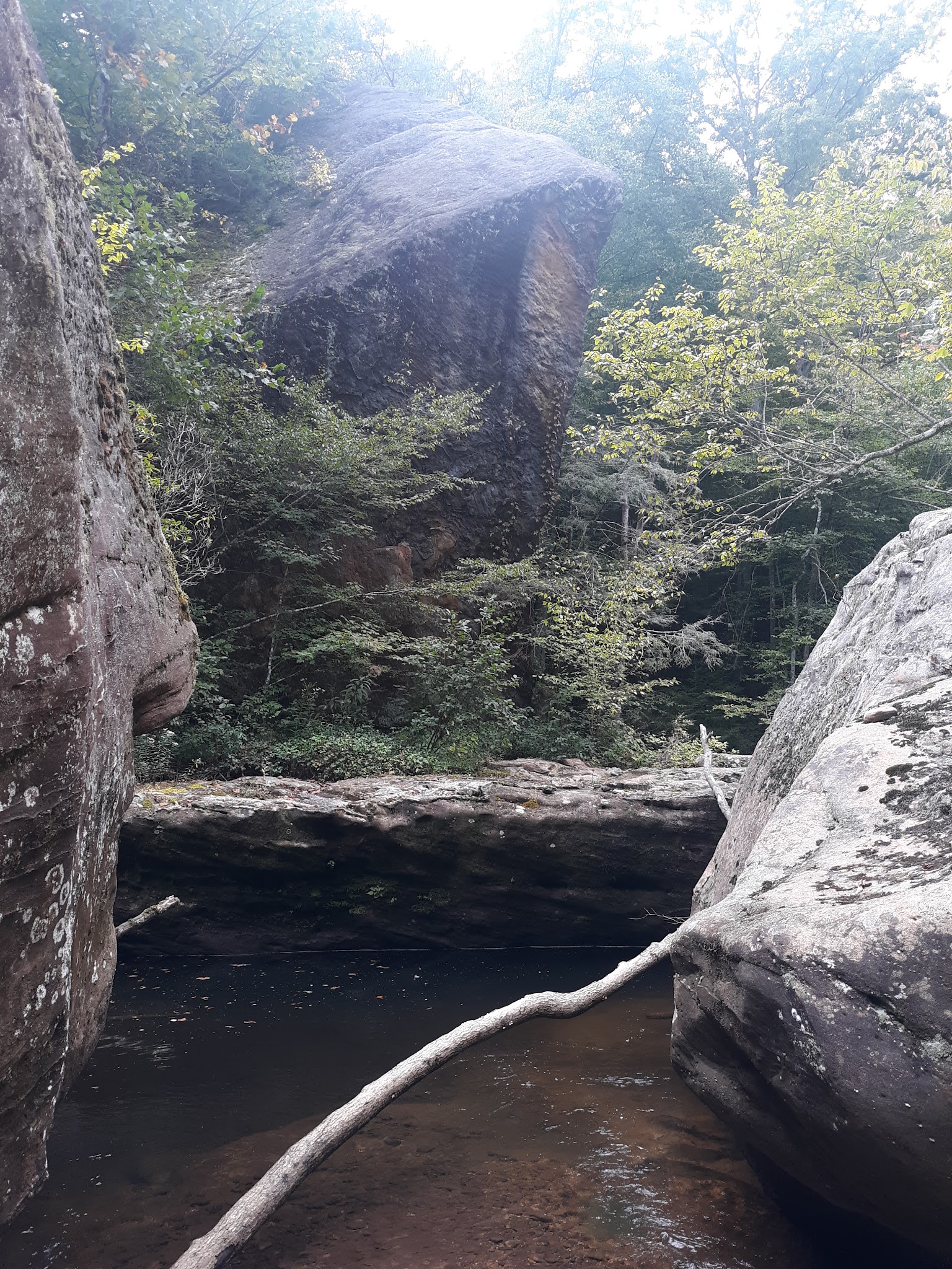 Great Meadows Campground