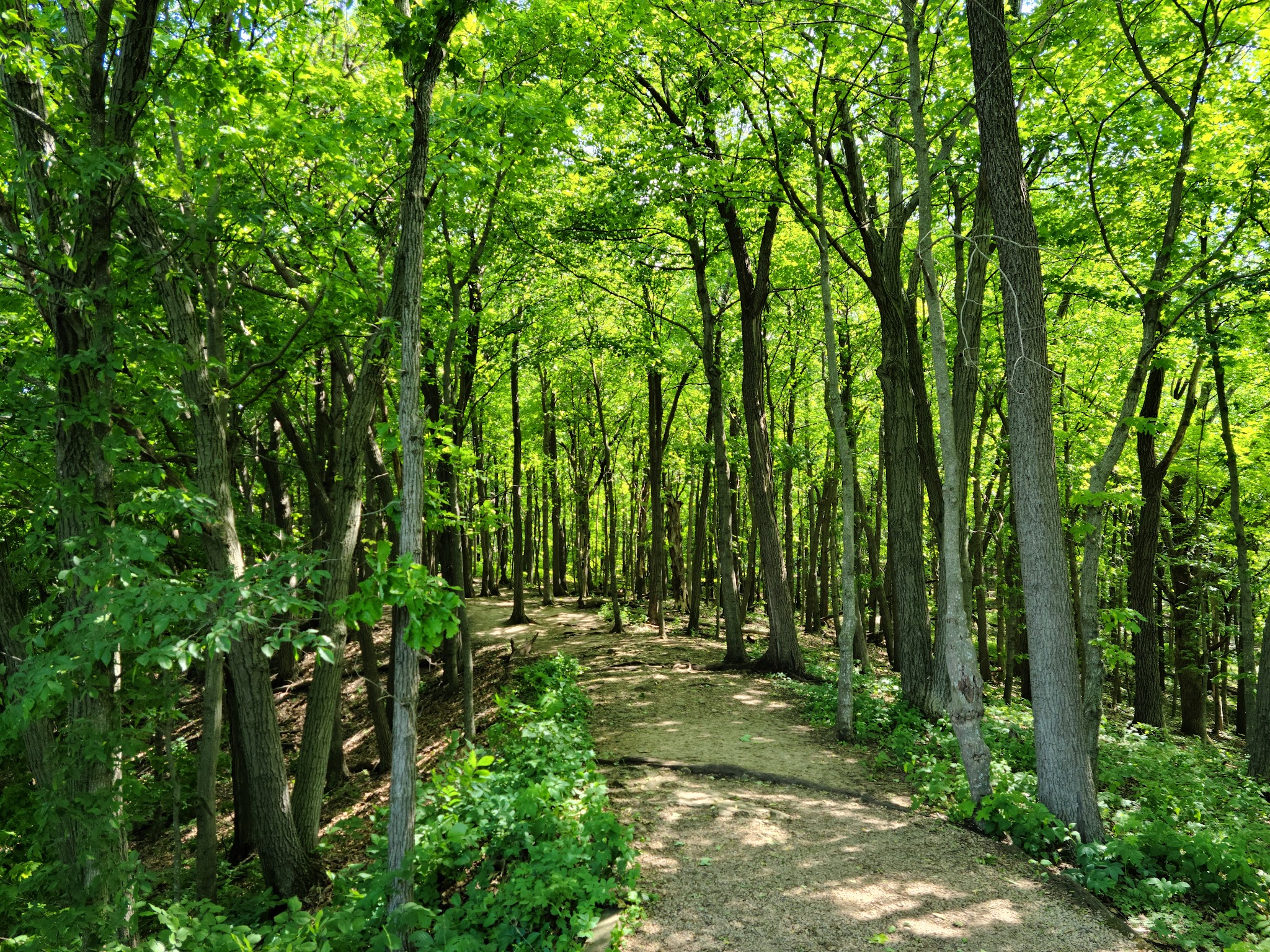 Cart-In Campsites Campground