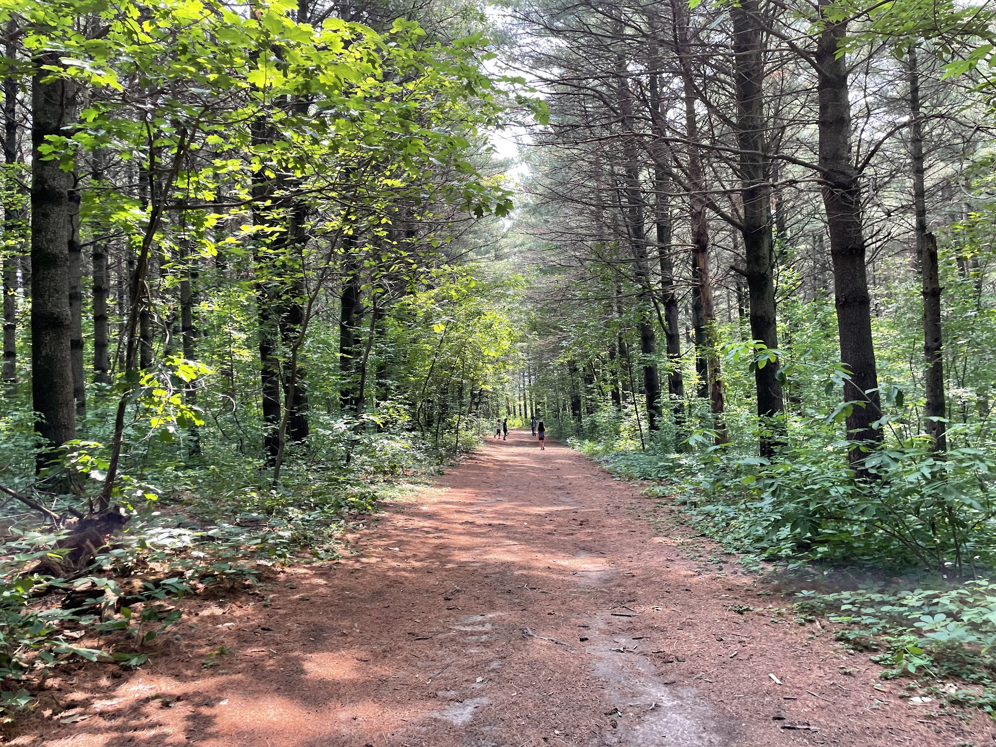 Cart-In Campsites Campground