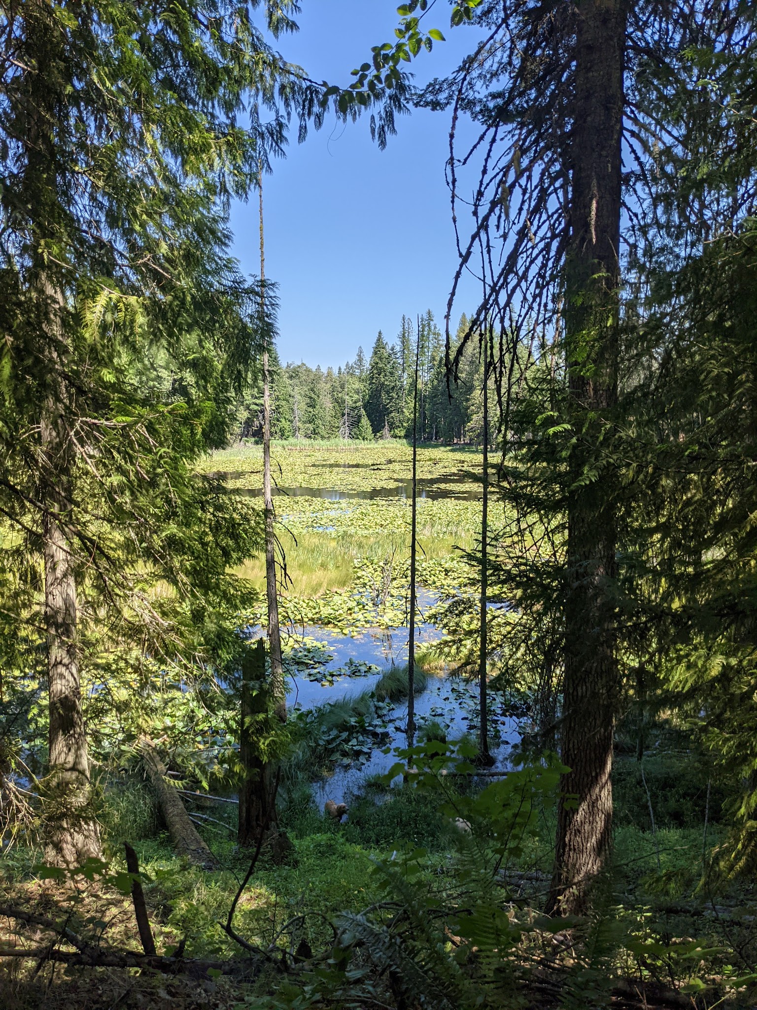 Green Bay Campground