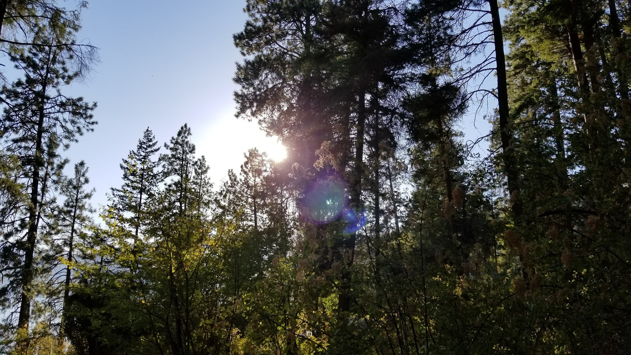 Green Bay Campground