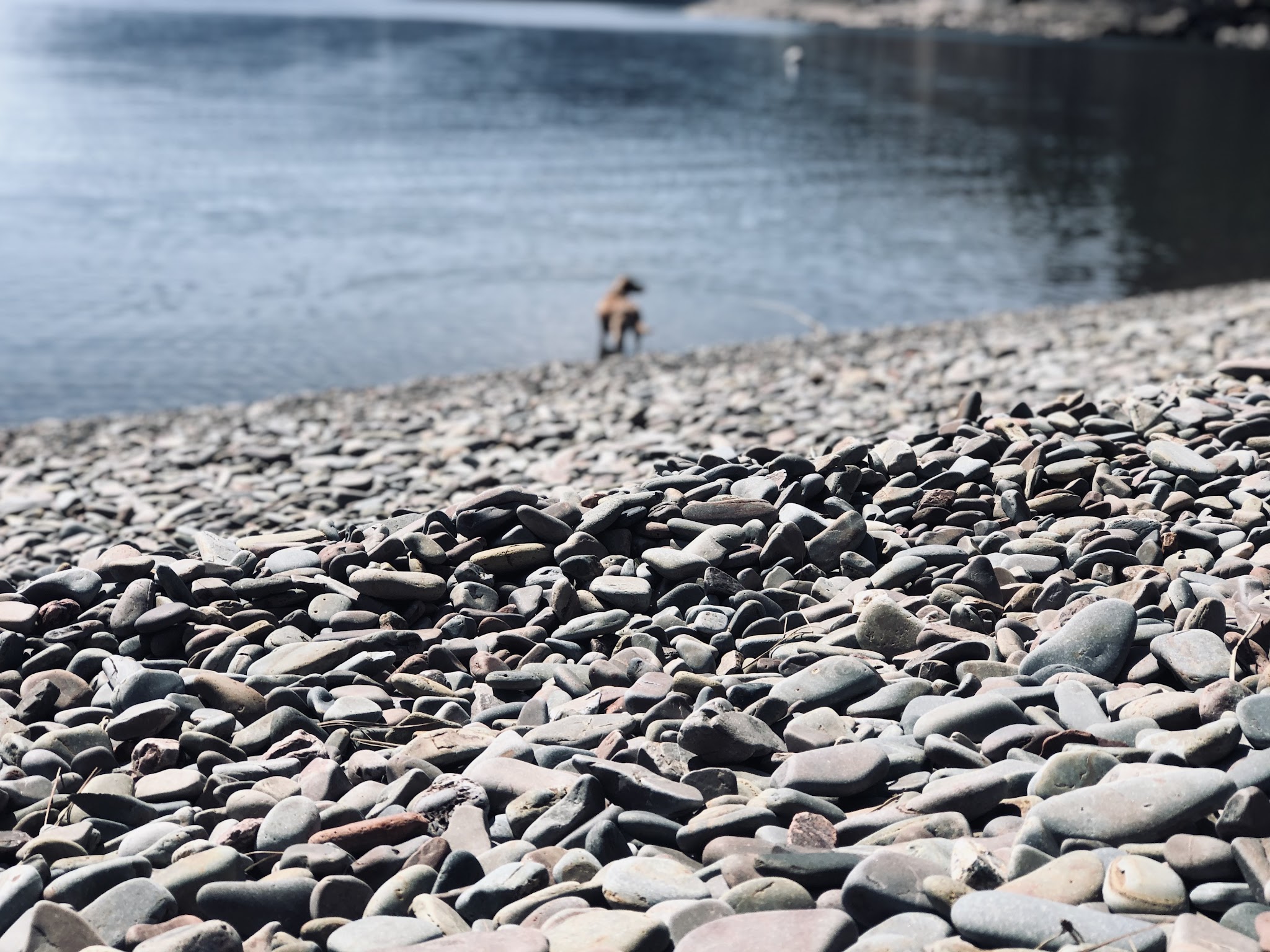 Green Bay Campground