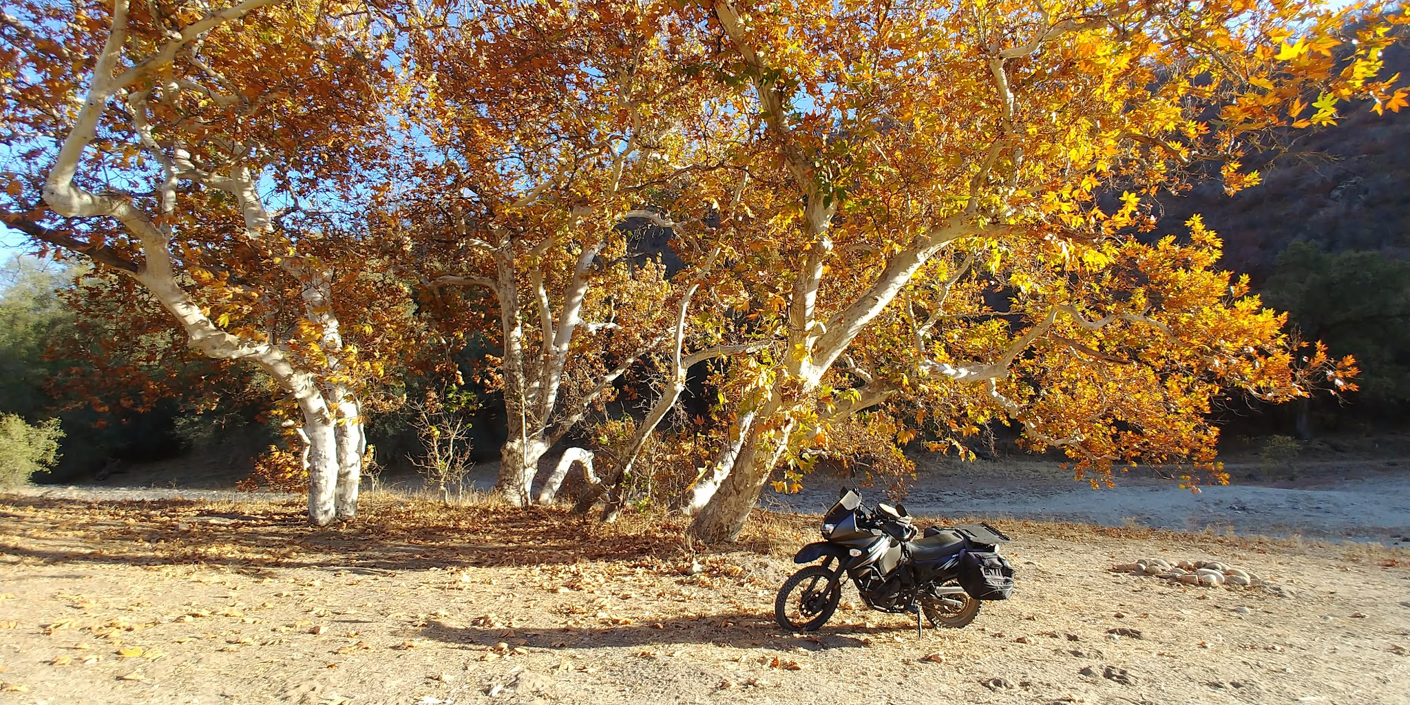 Green Cabin Flat Campground