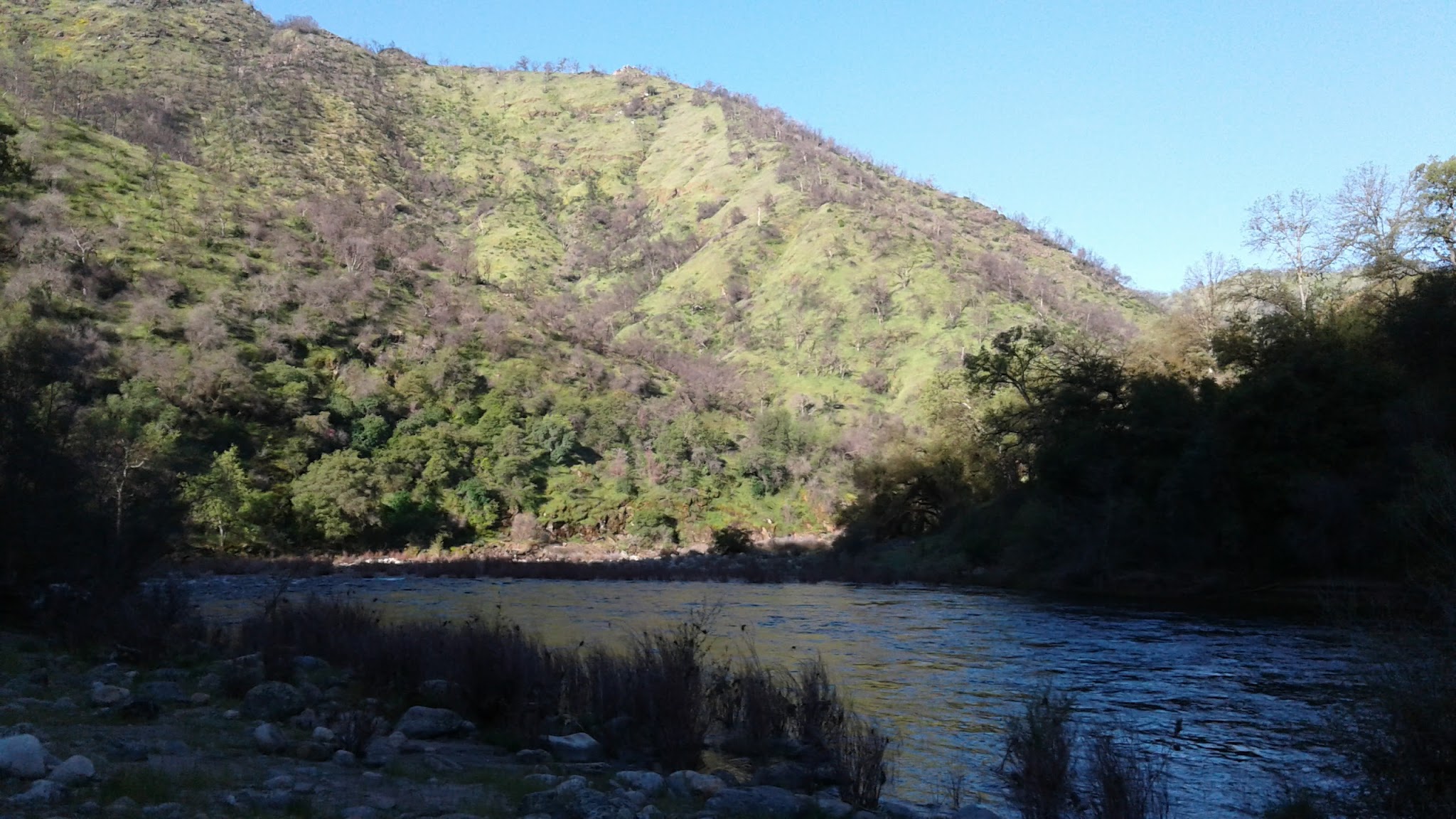 Green Cabin Flat Campground