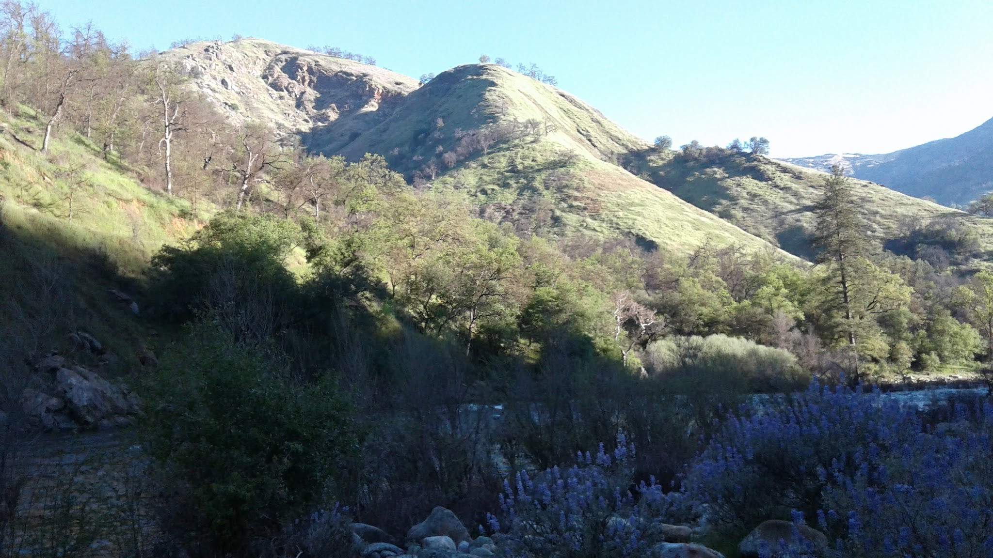 Green Cabin Flat Campground