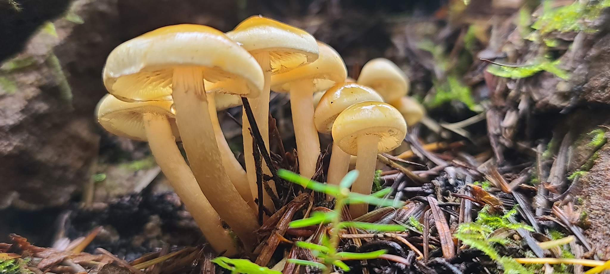 Green Canyon Campground & Day Use Area