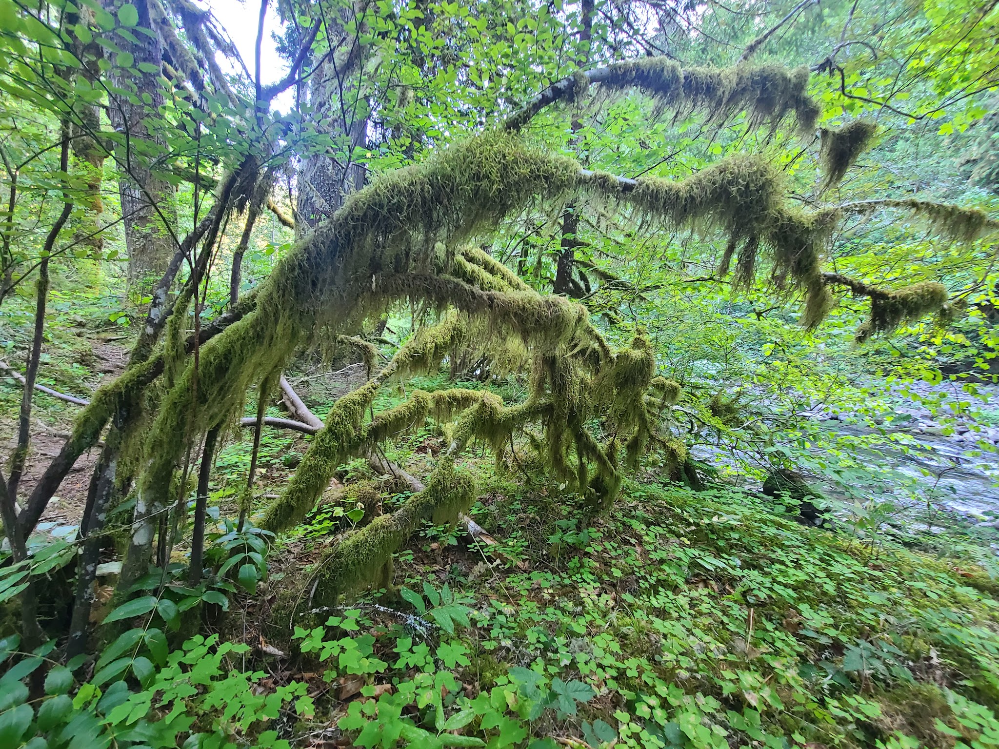 Green Canyon Campground & Day Use Area