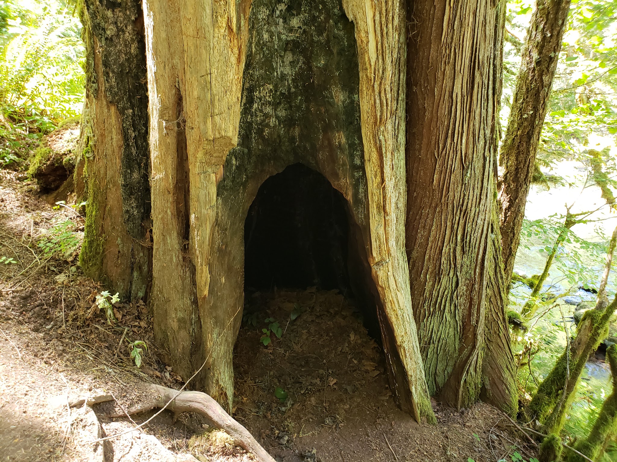 Green Canyon Campground & Day Use Area